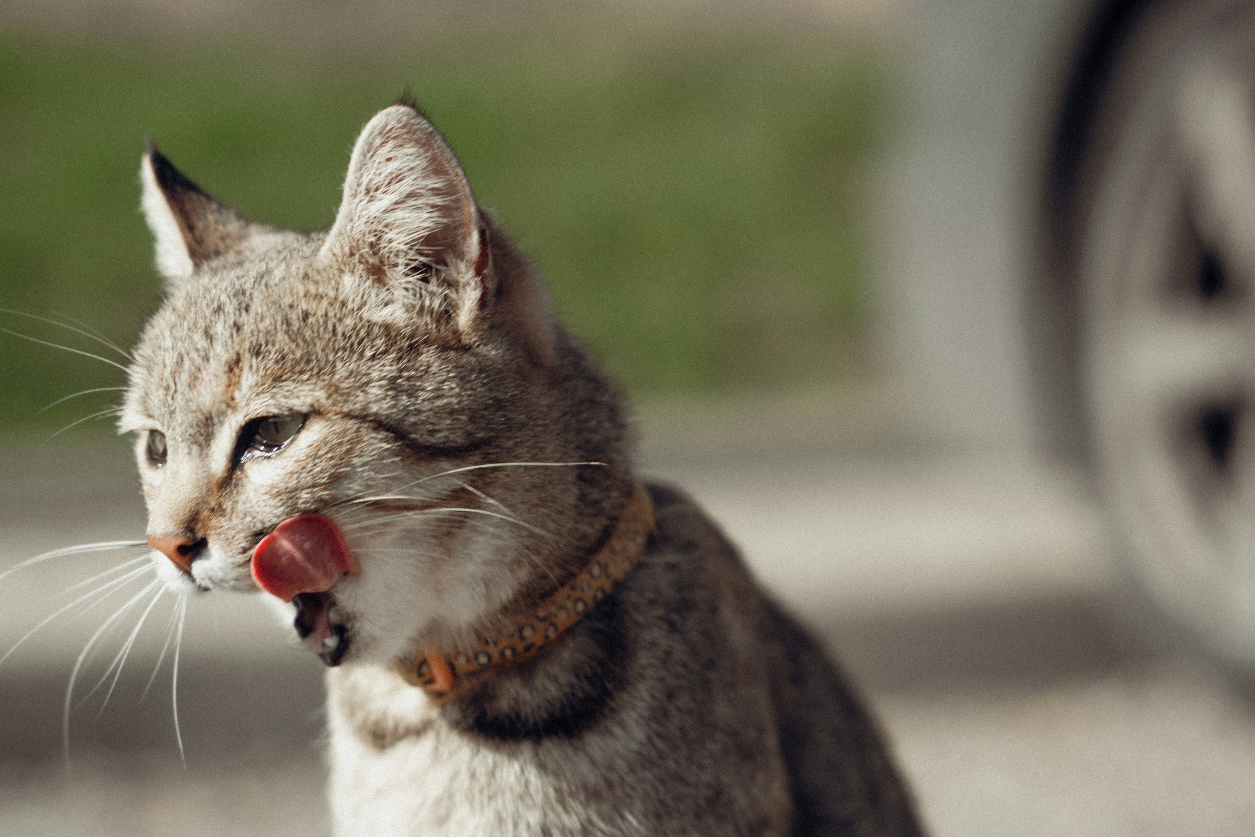 Photo by olgaperebasova