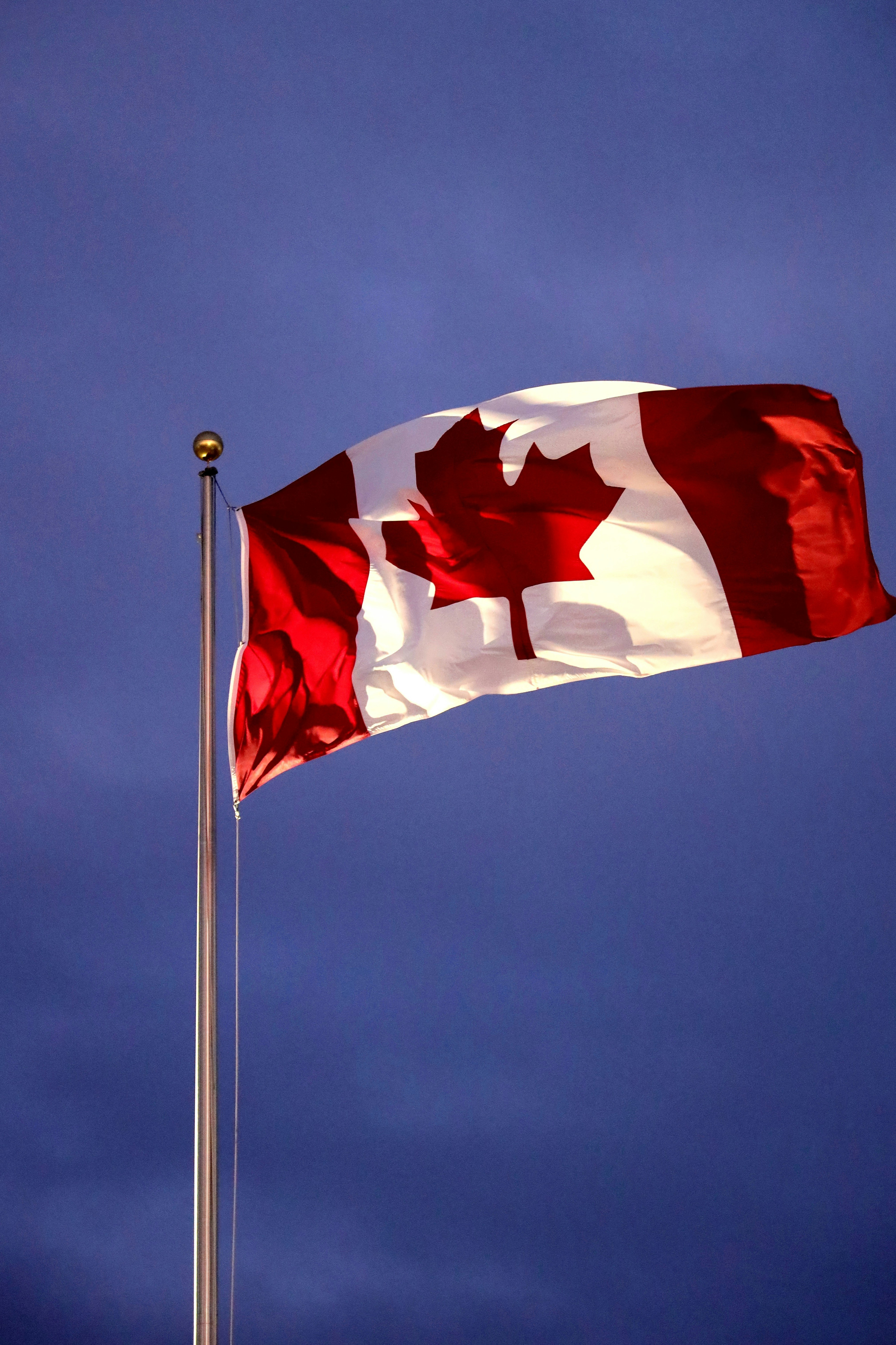 Canadian flag waving against a dark blue sky