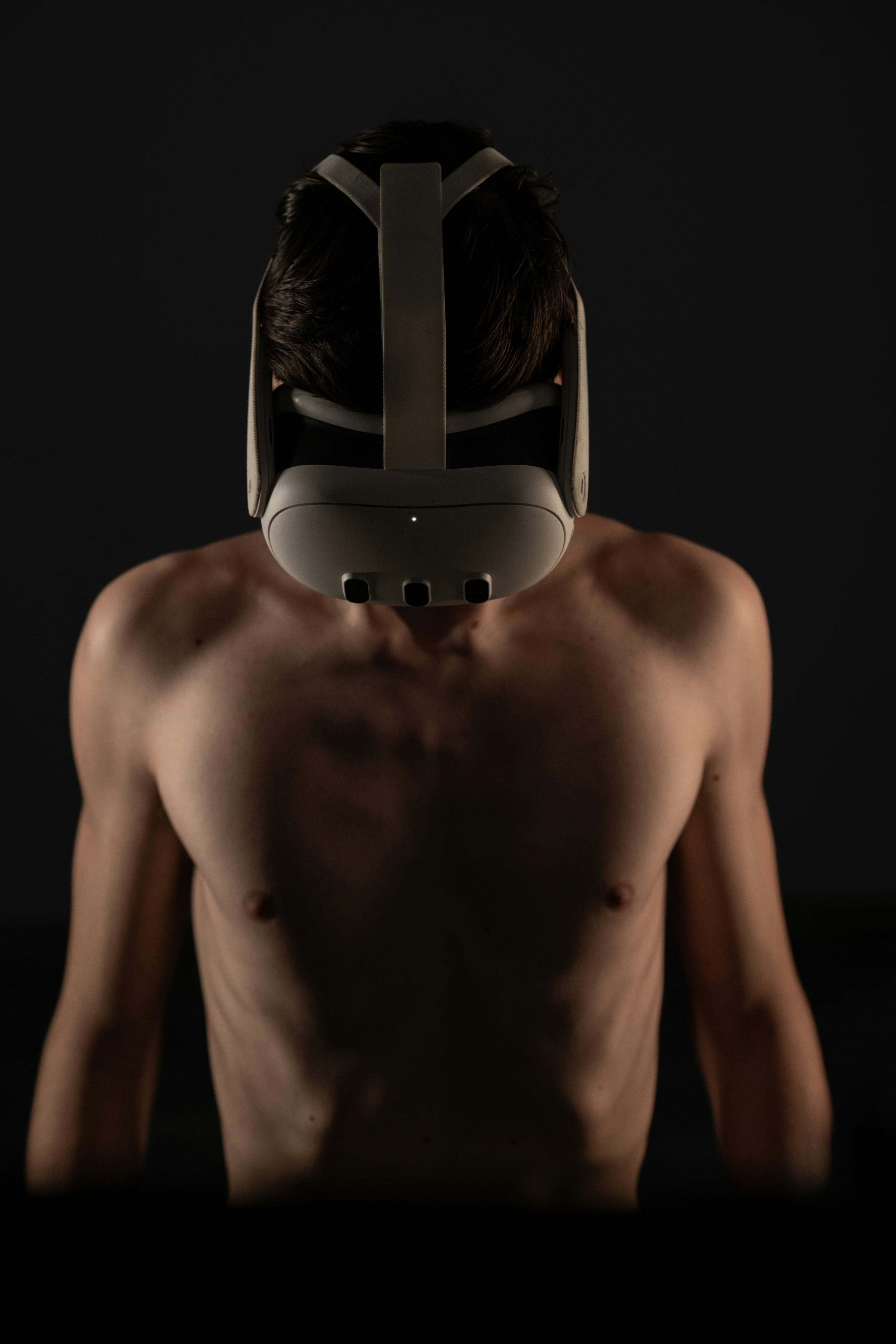 A digital file of a pet portrait shown on a tablet screen