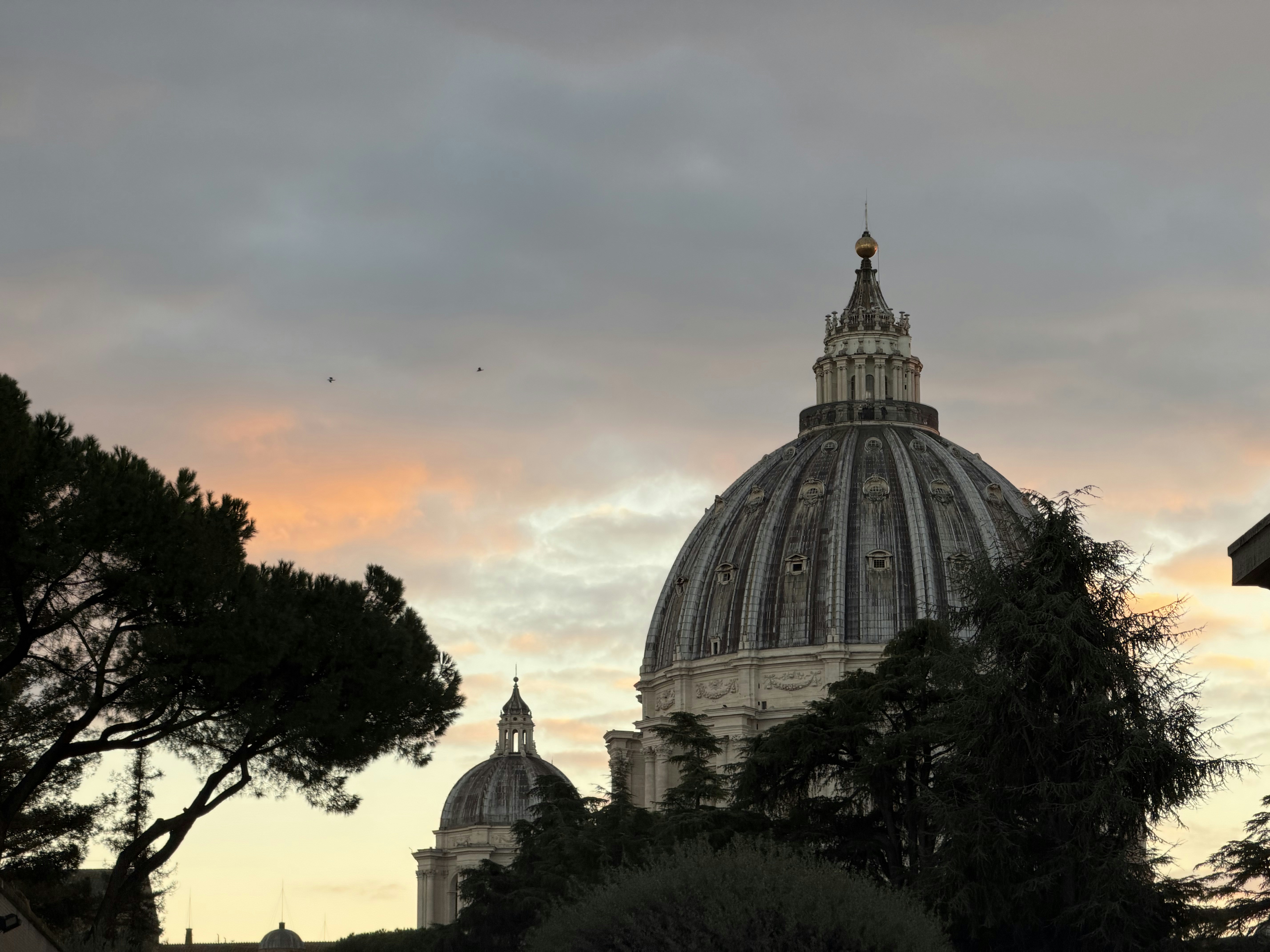 Rome skyline LinkedIn background