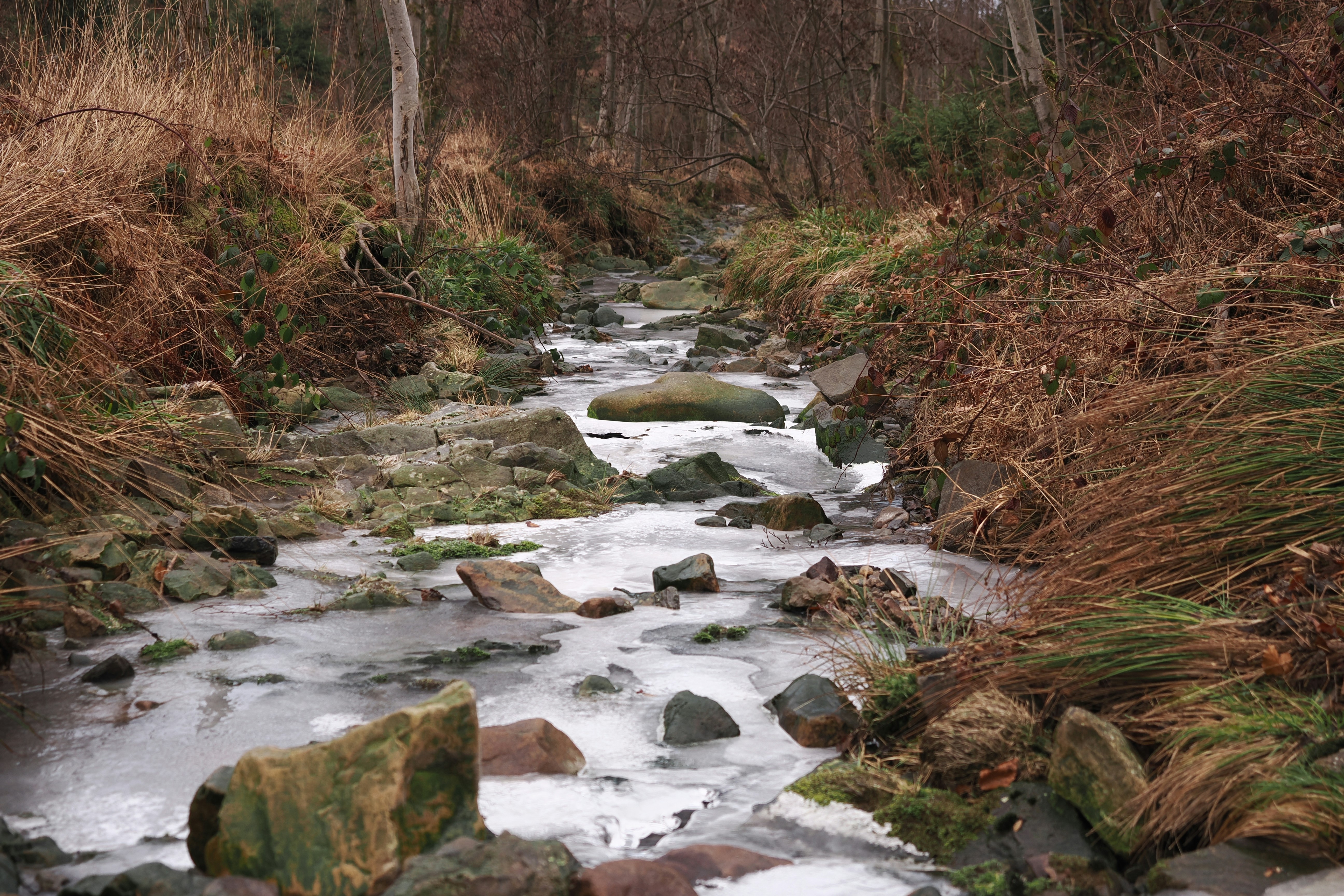 Photo by fotografie_thomas_nolte