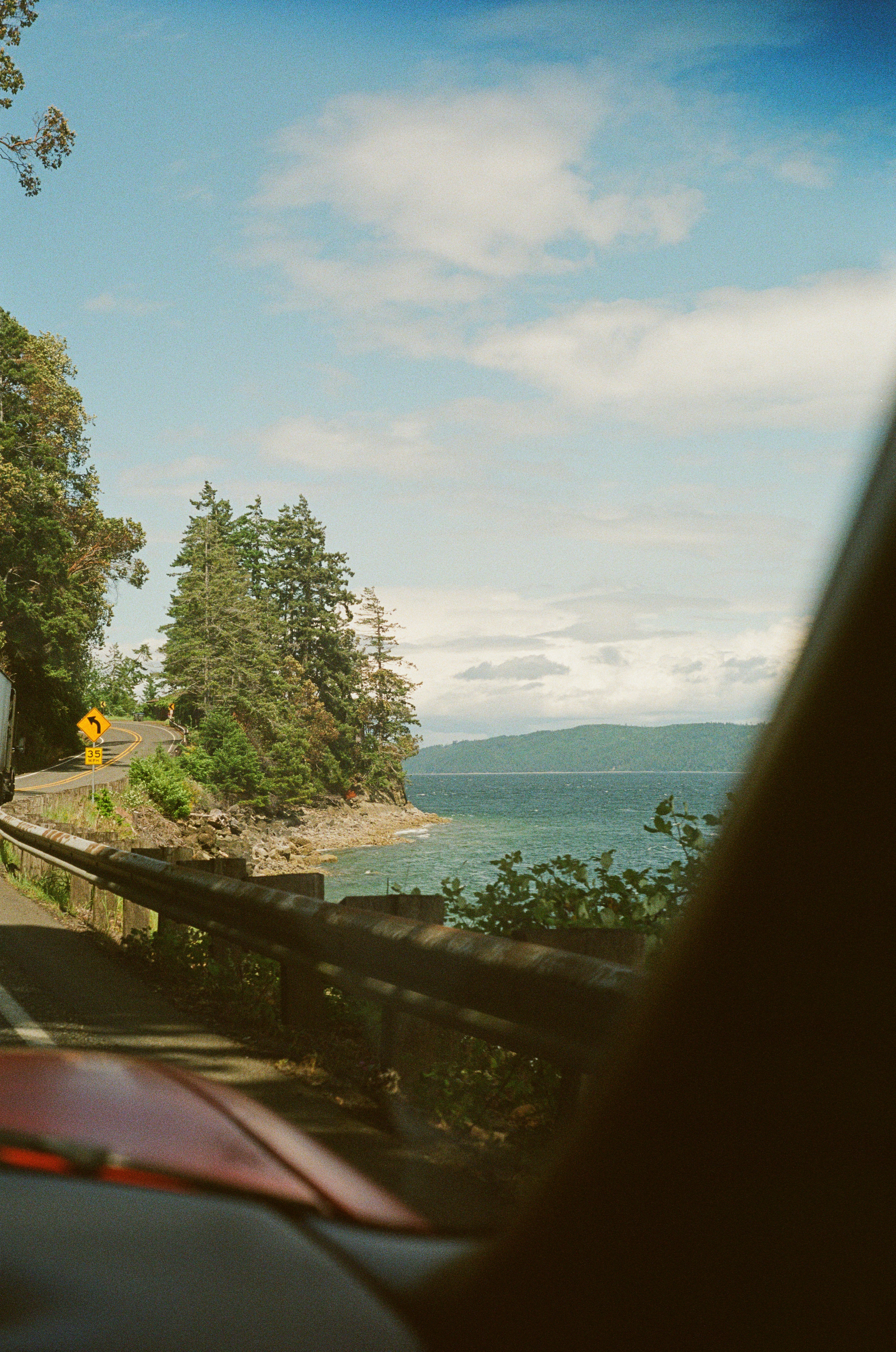 Coastal road with ocean view and trees