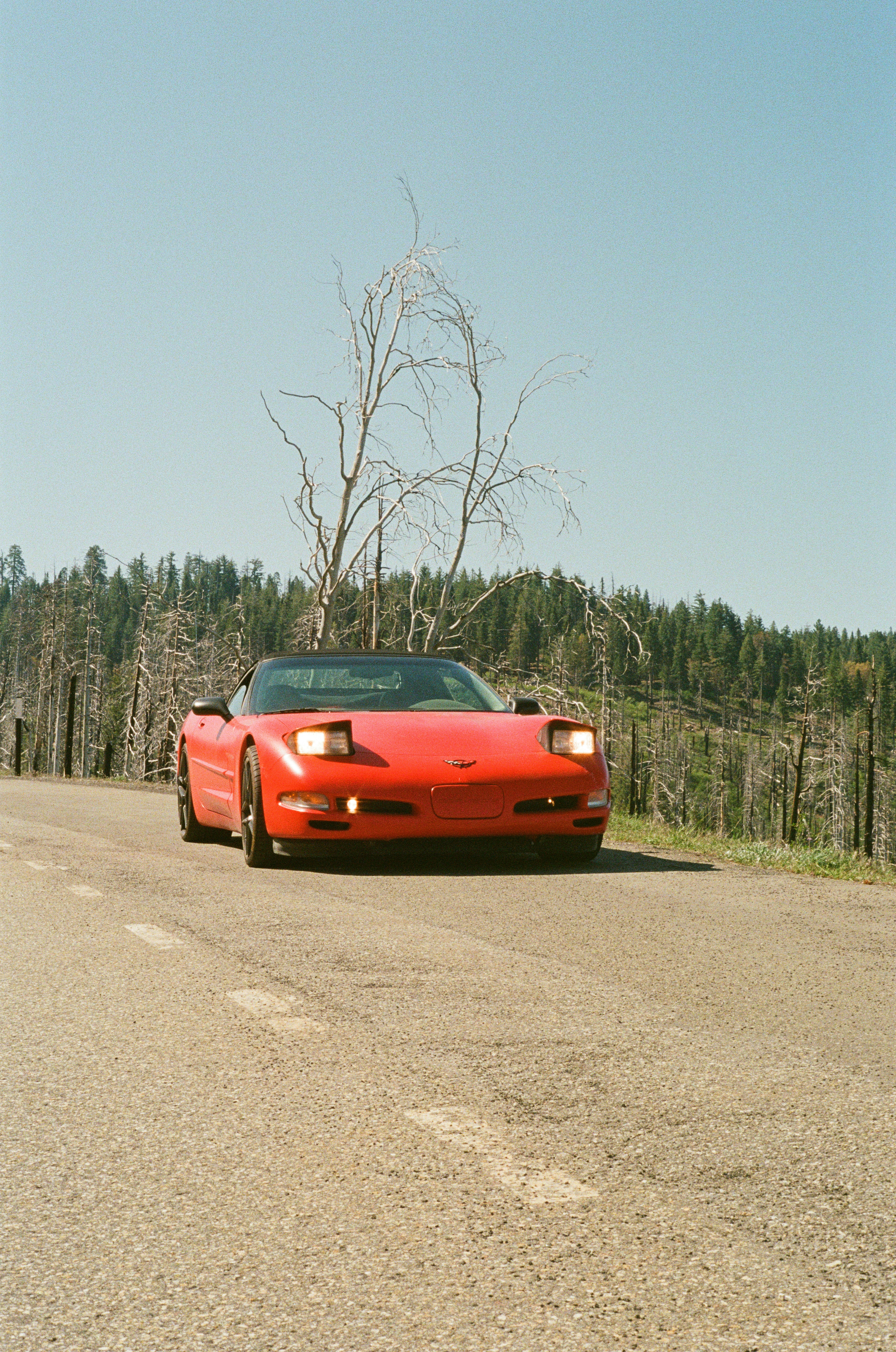 Red convertible driving on a sunny road