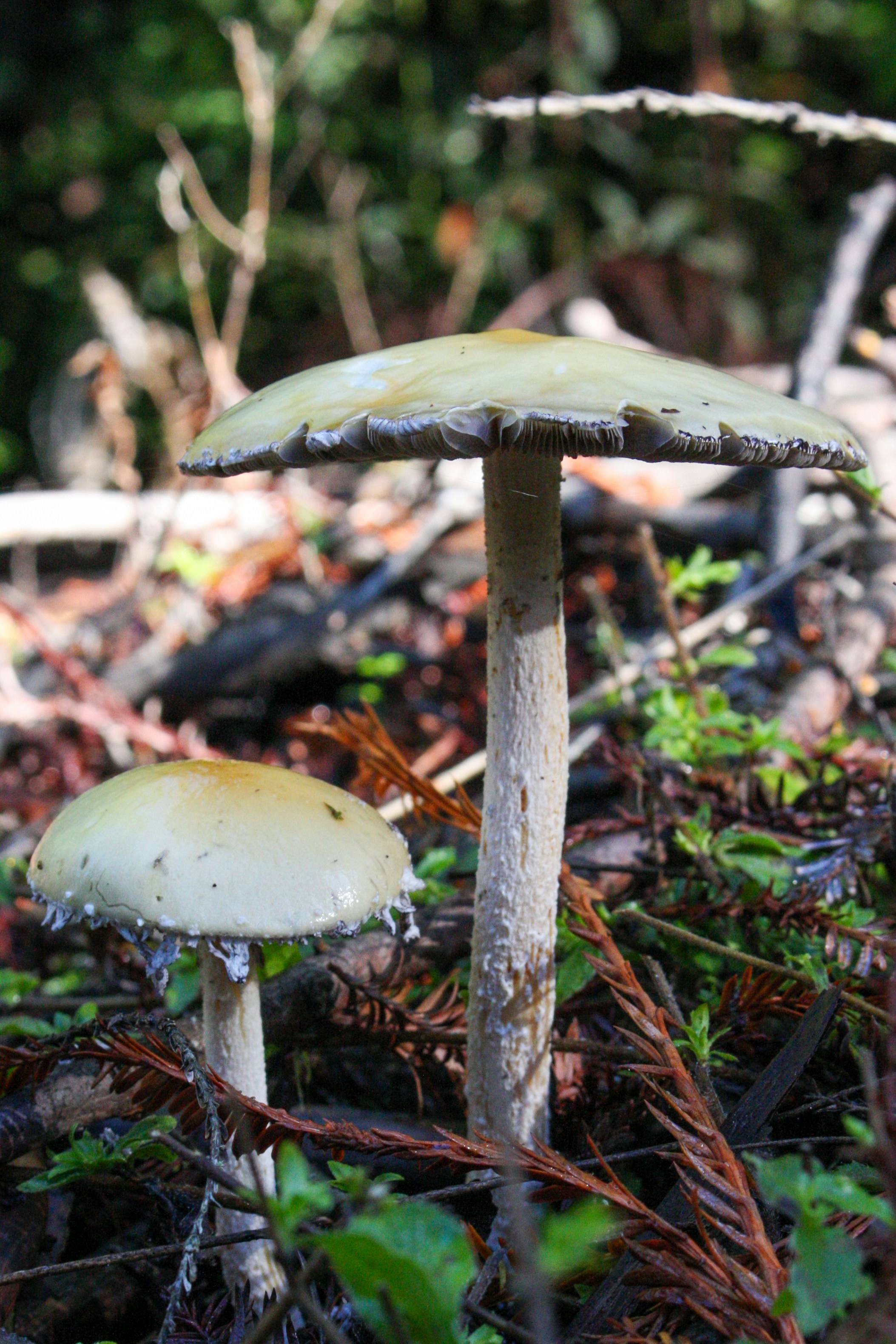 Photo by abhinavgorantla