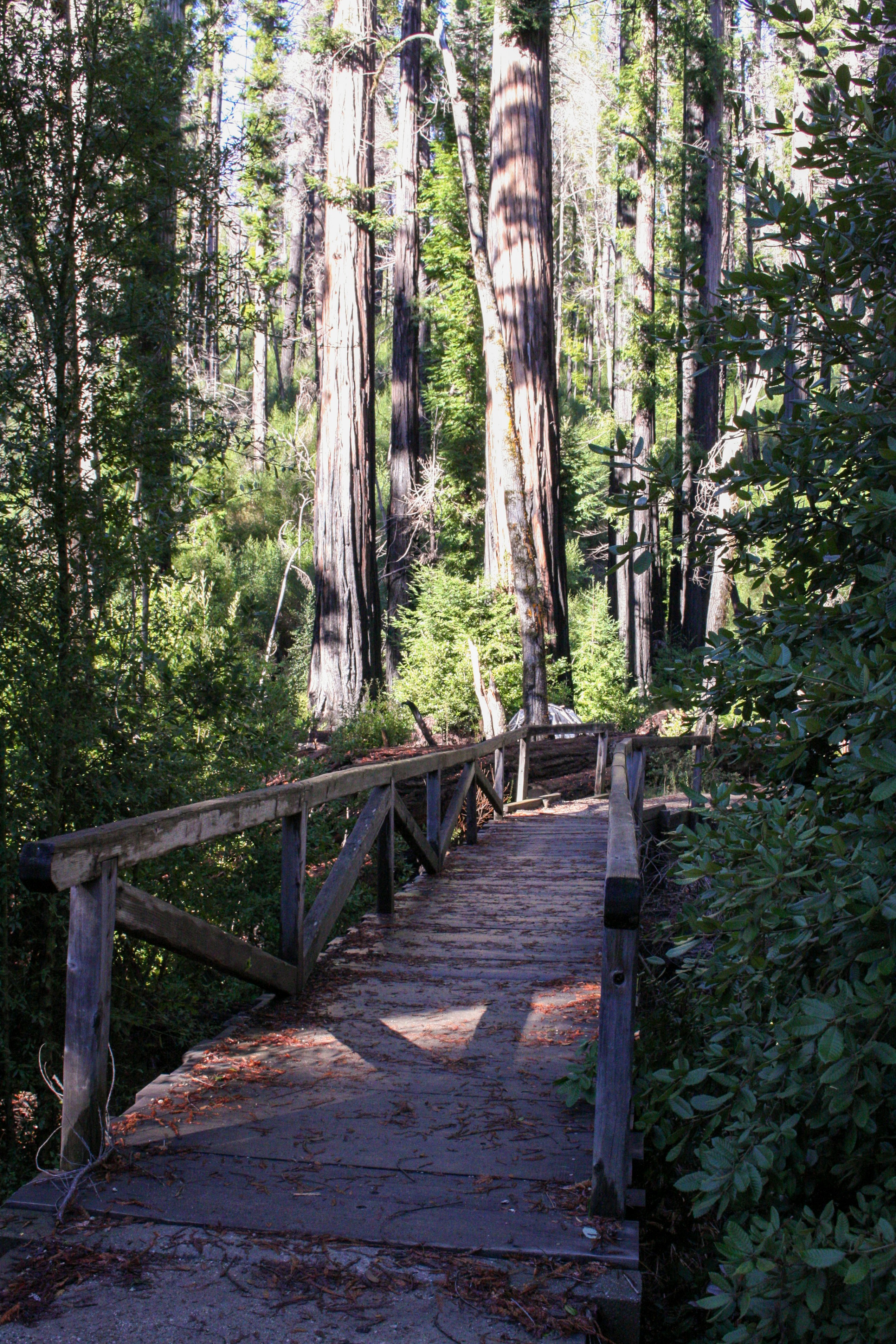 Photo by abhinavgorantla