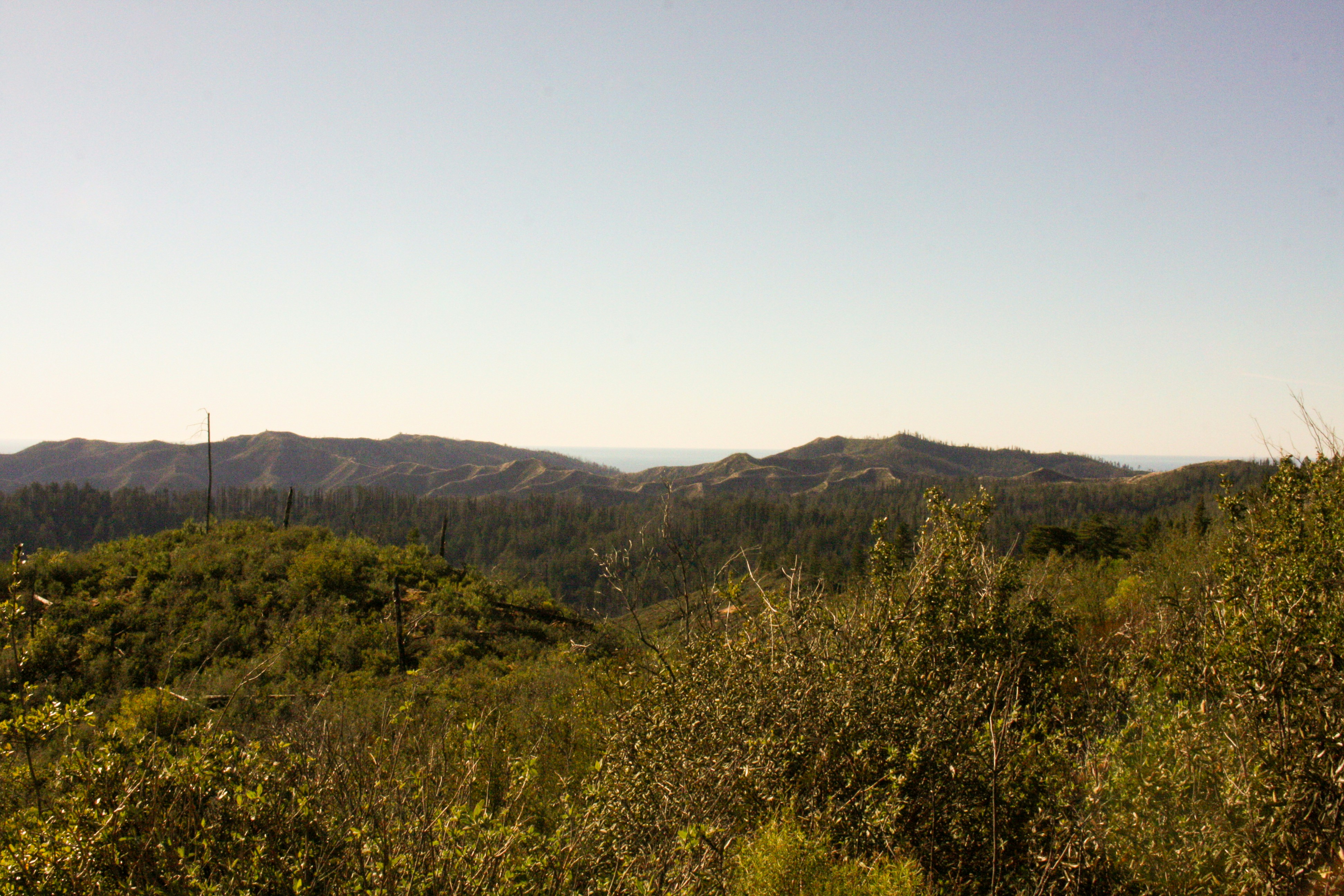 Photo by abhinavgorantla