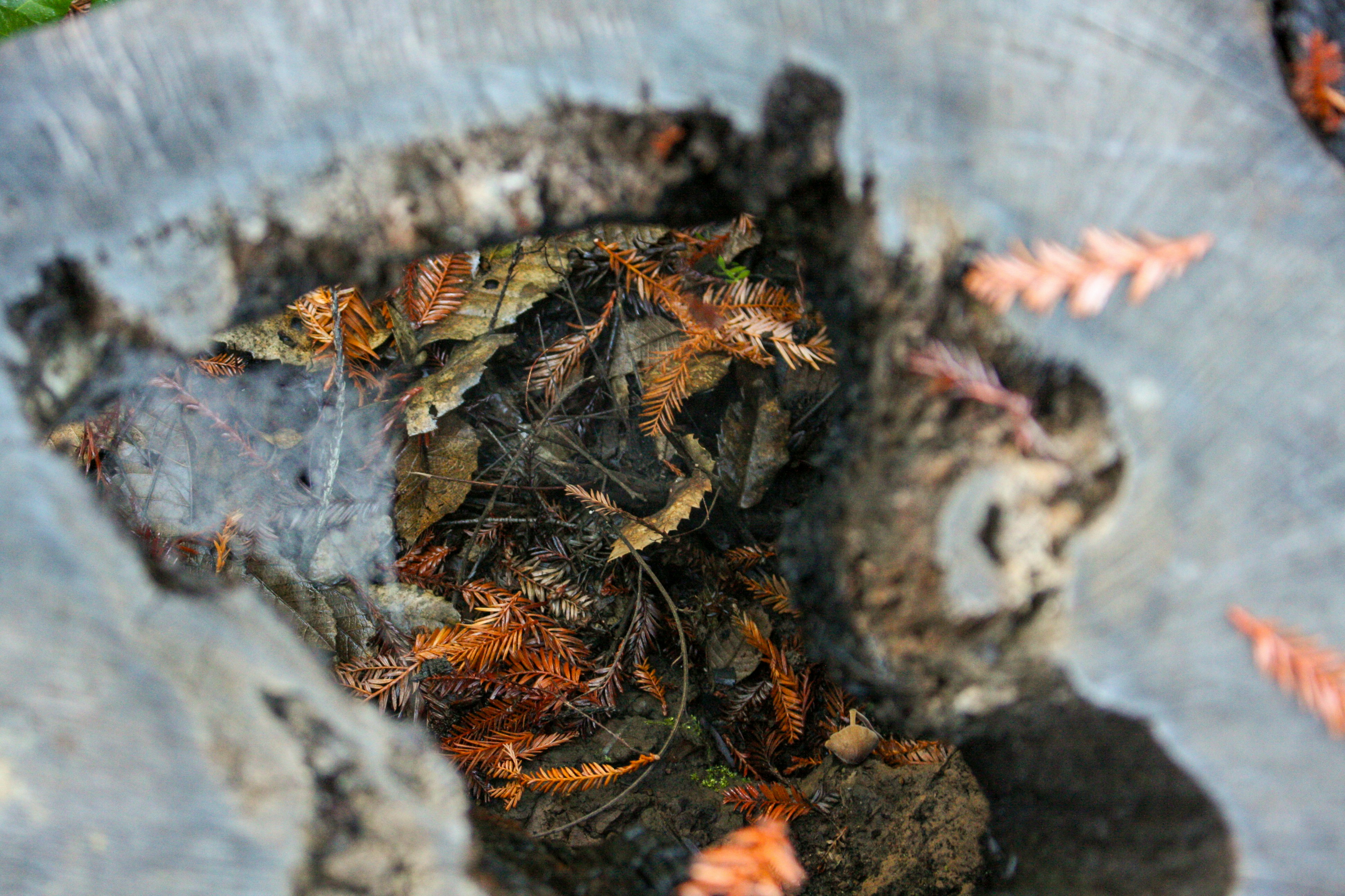 Photo by abhinavgorantla