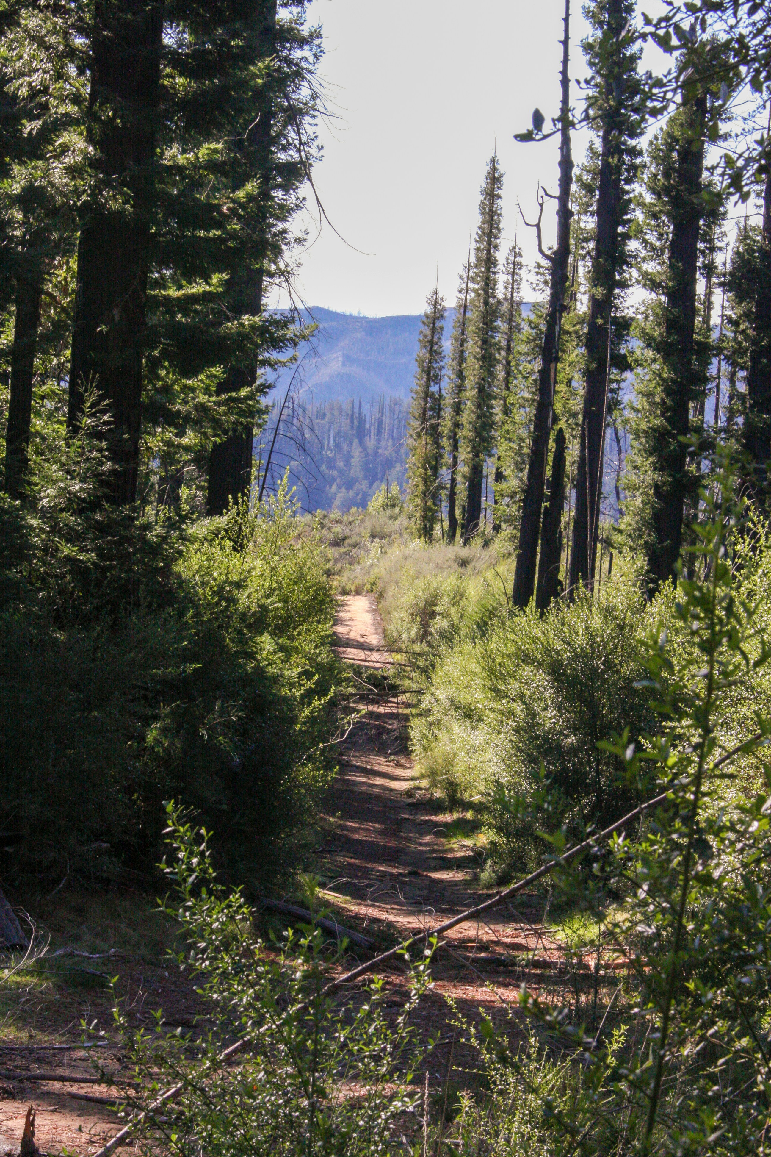 Photo by abhinavgorantla