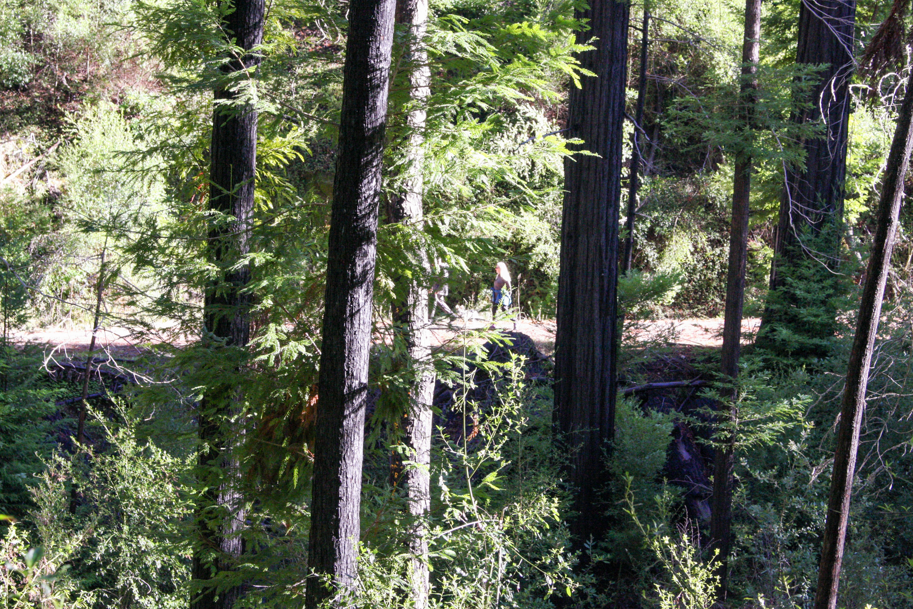 Photo by abhinavgorantla