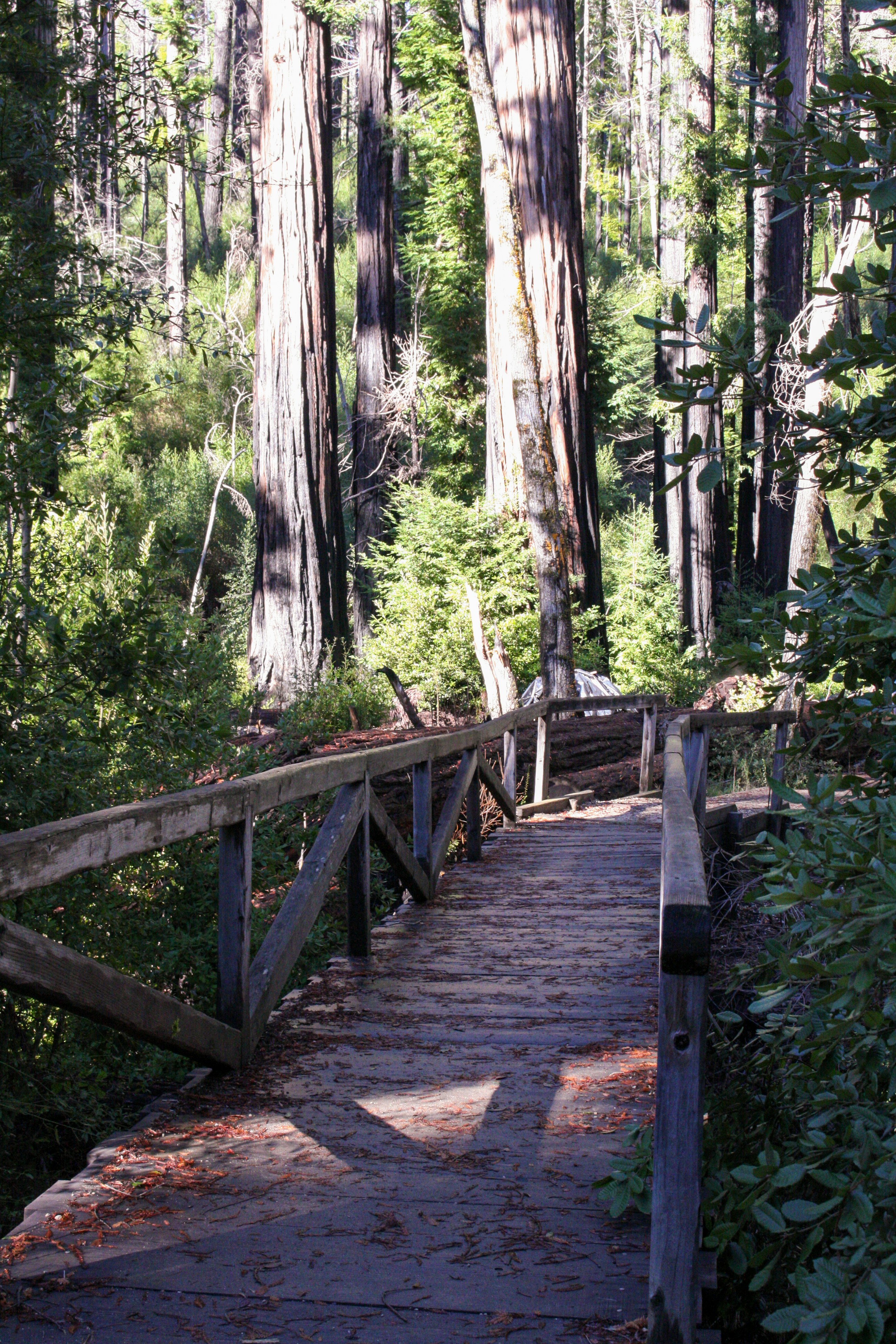 Photo by abhinavgorantla