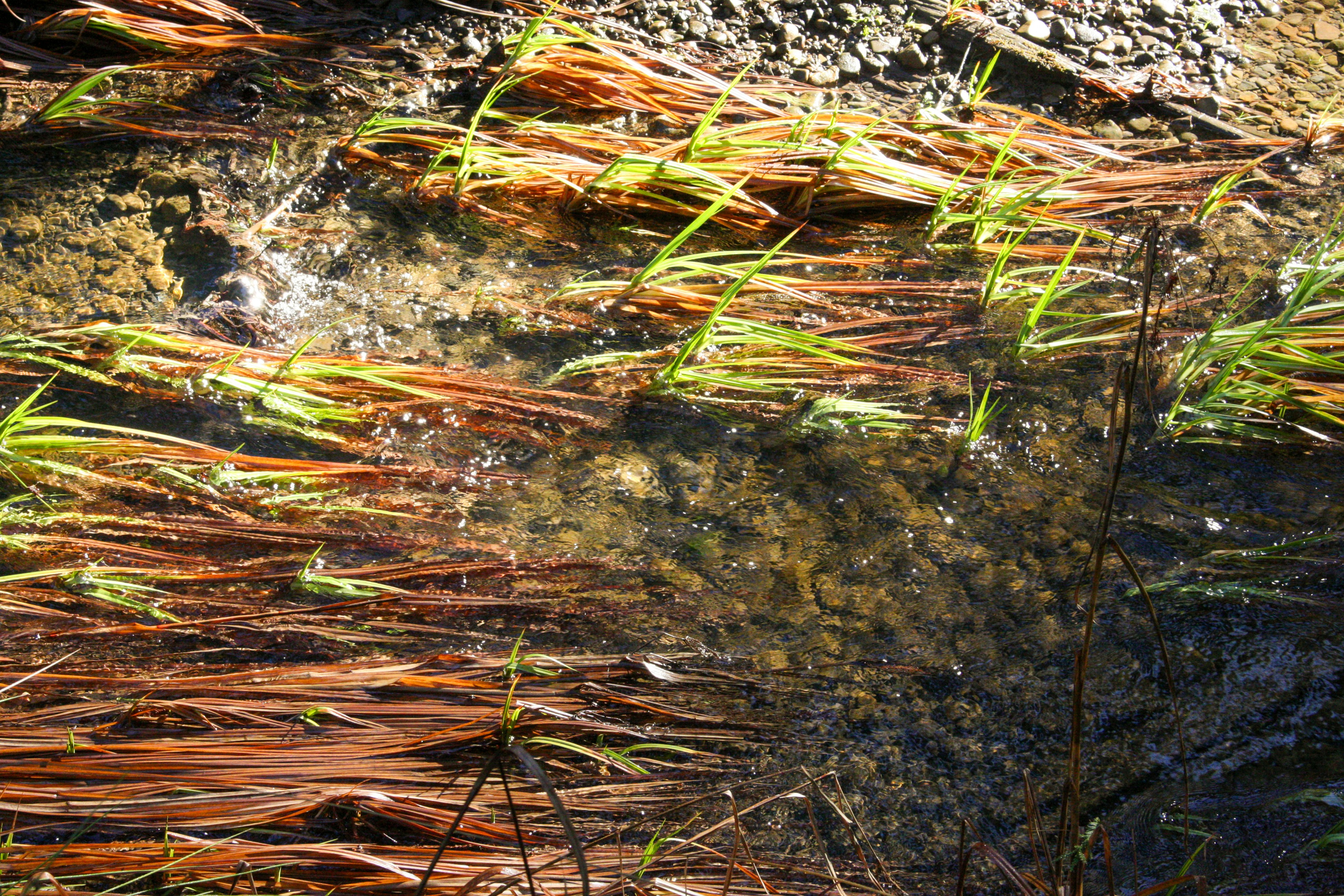 Photo by abhinavgorantla