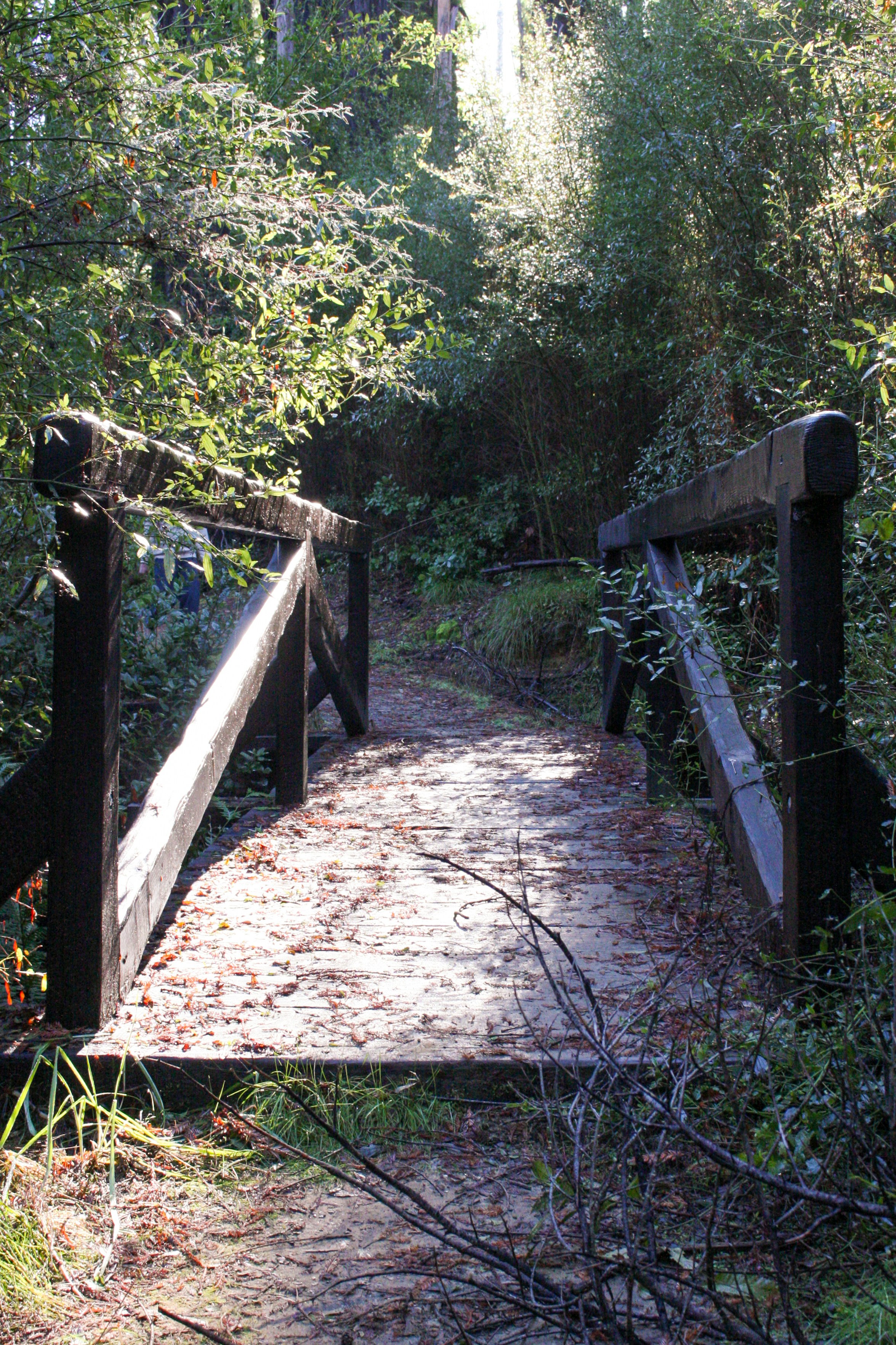 Photo by abhinavgorantla