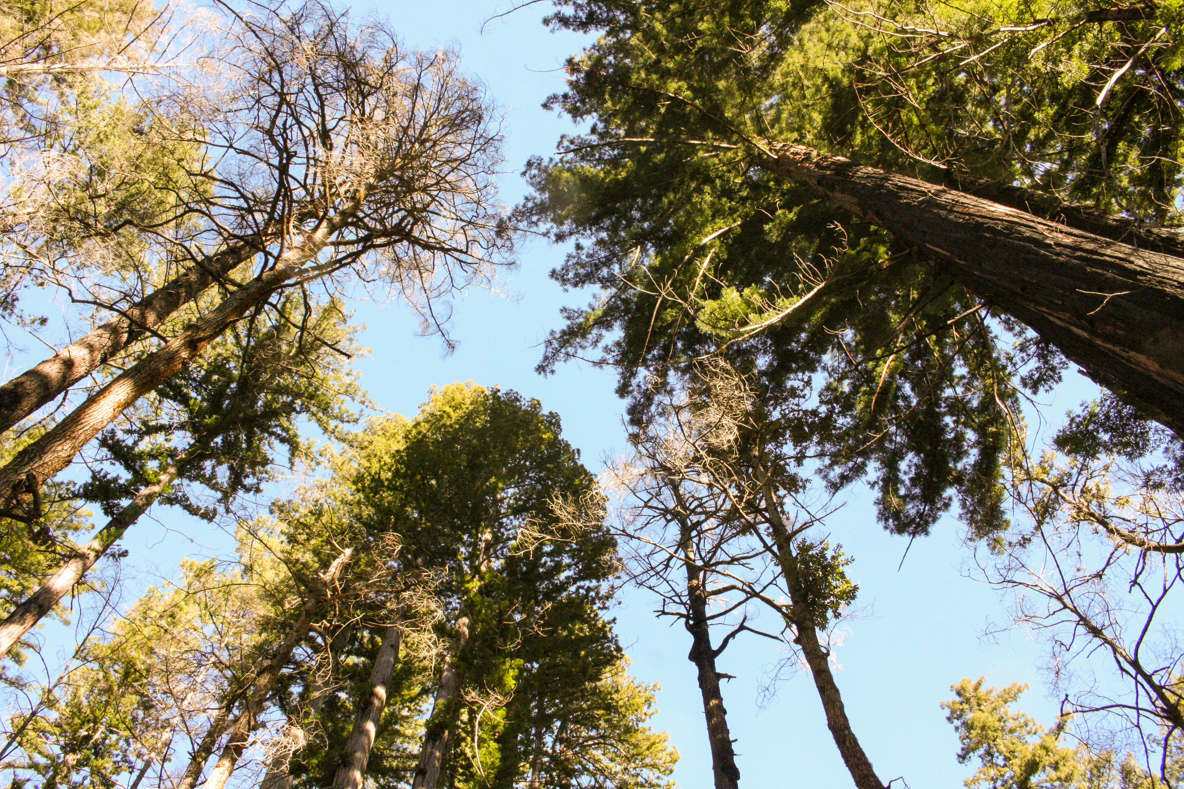 Photo by abhinavgorantla