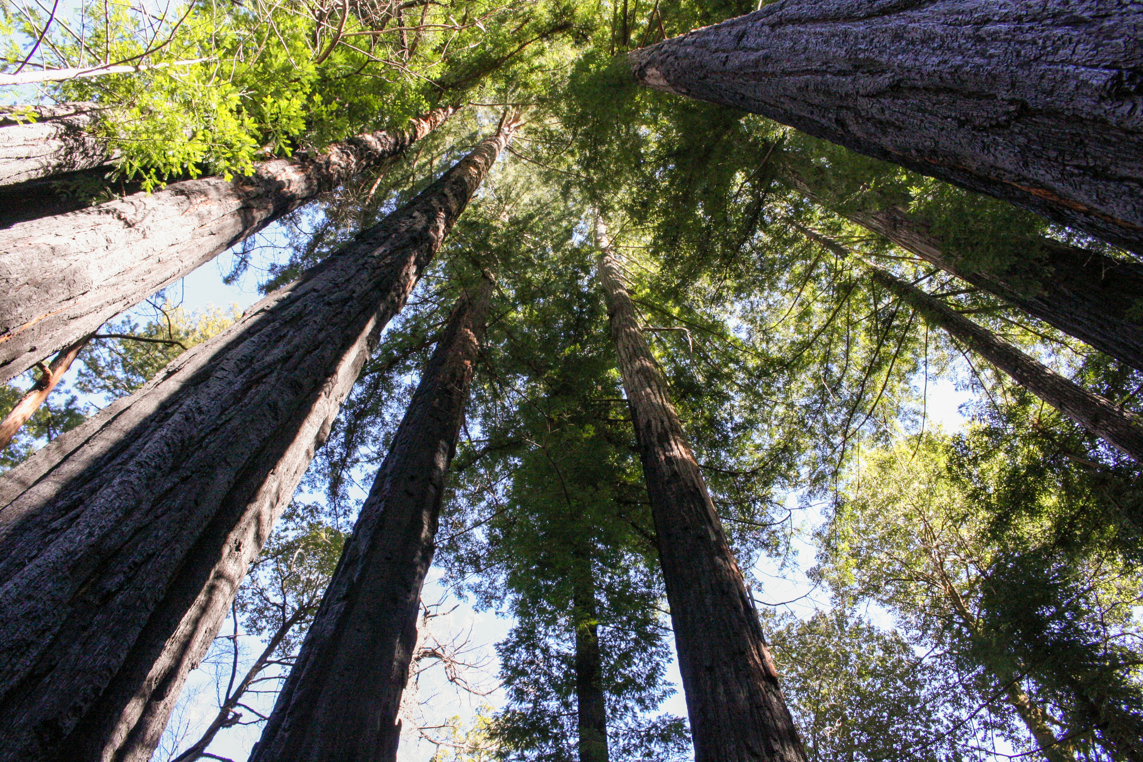 Photo by abhinavgorantla