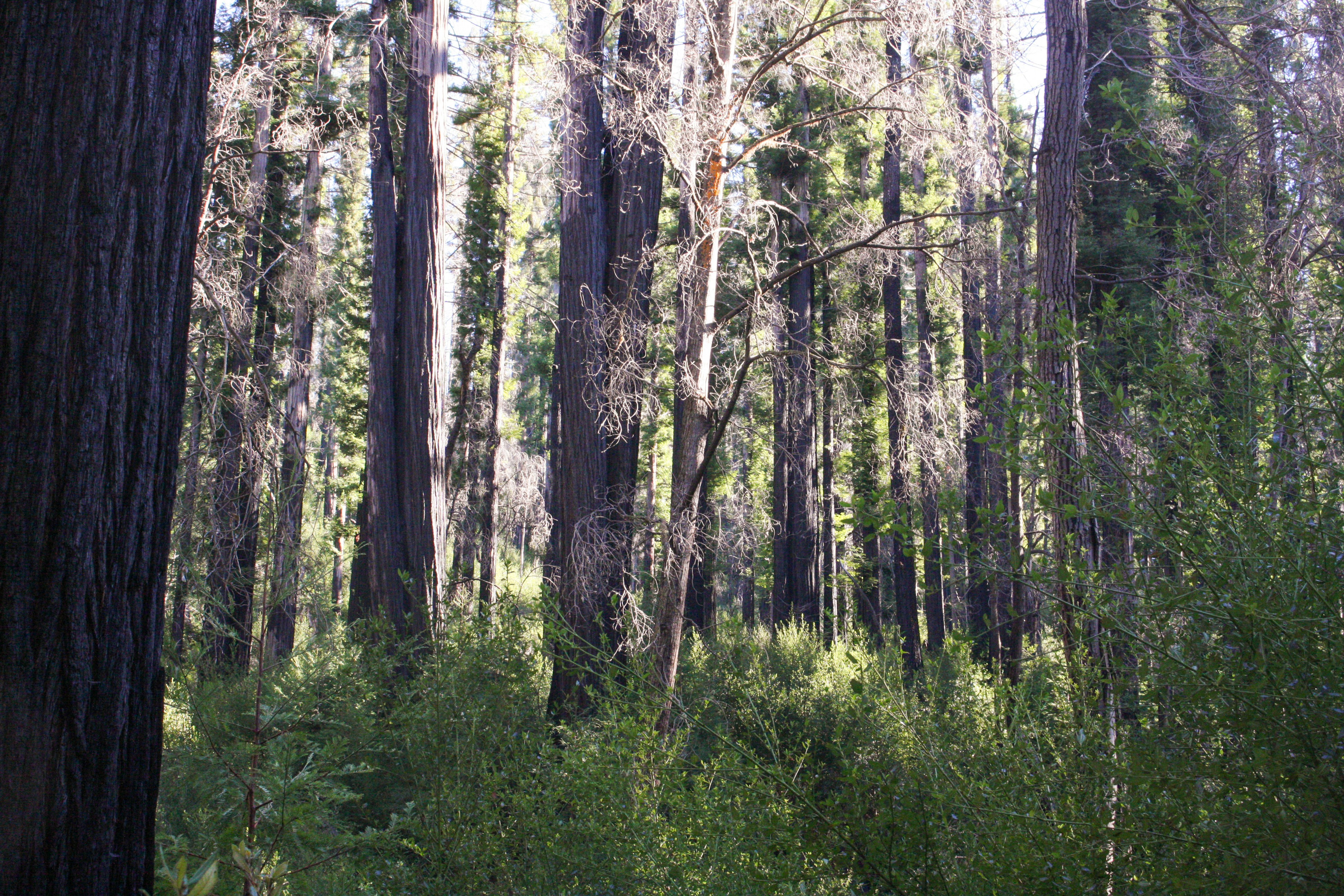 Photo by abhinavgorantla