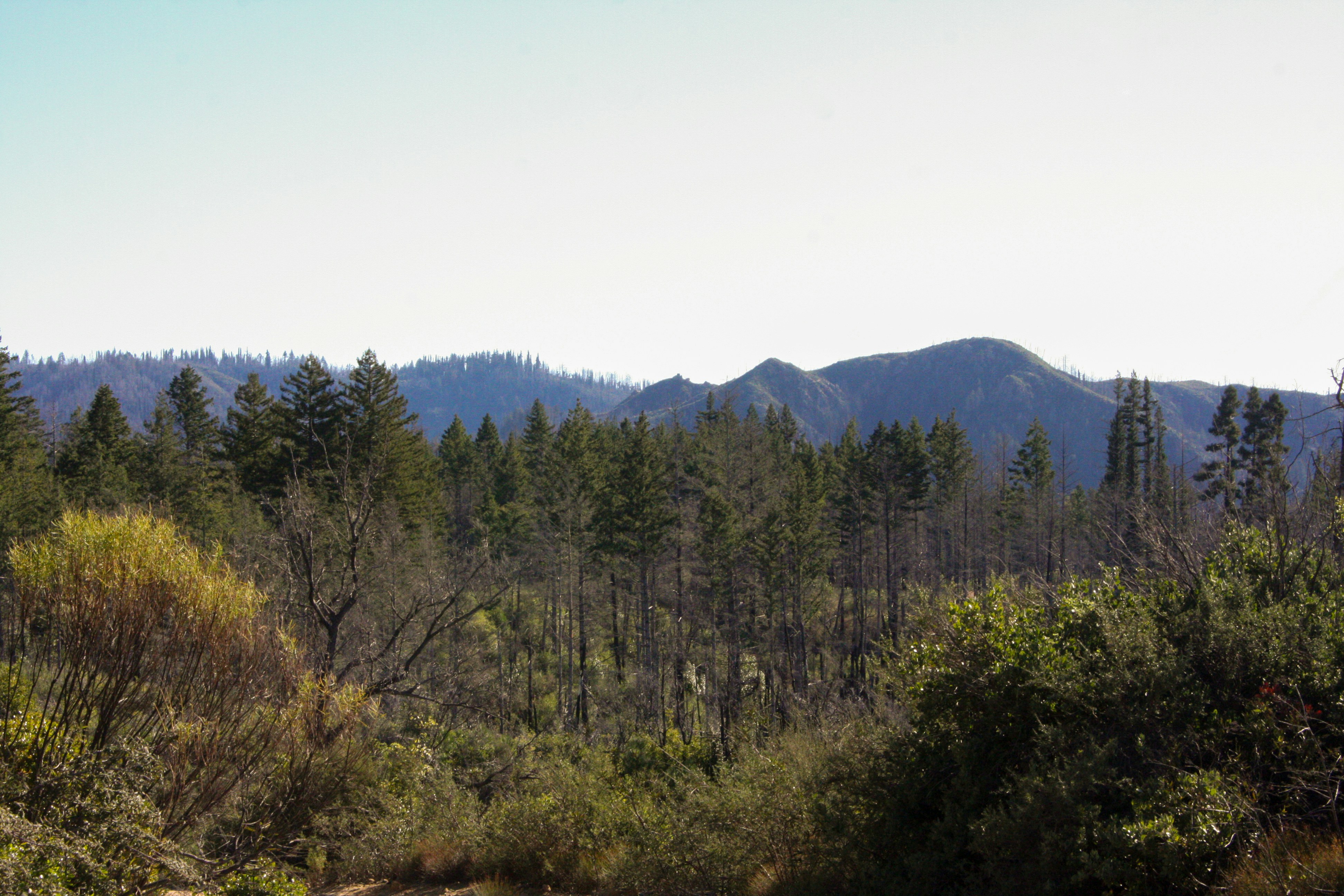 Photo by abhinavgorantla