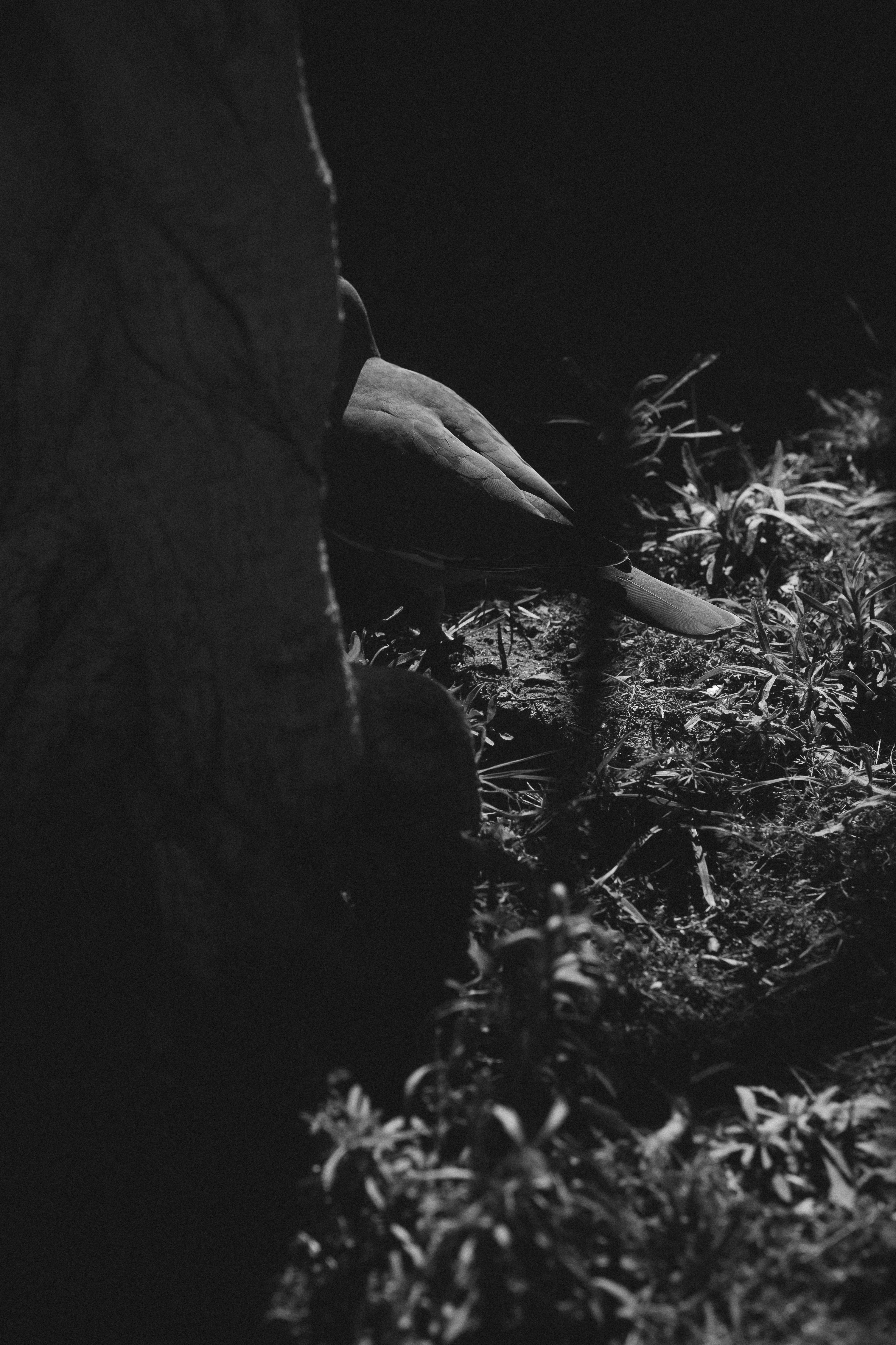 Photo by angelmalrey