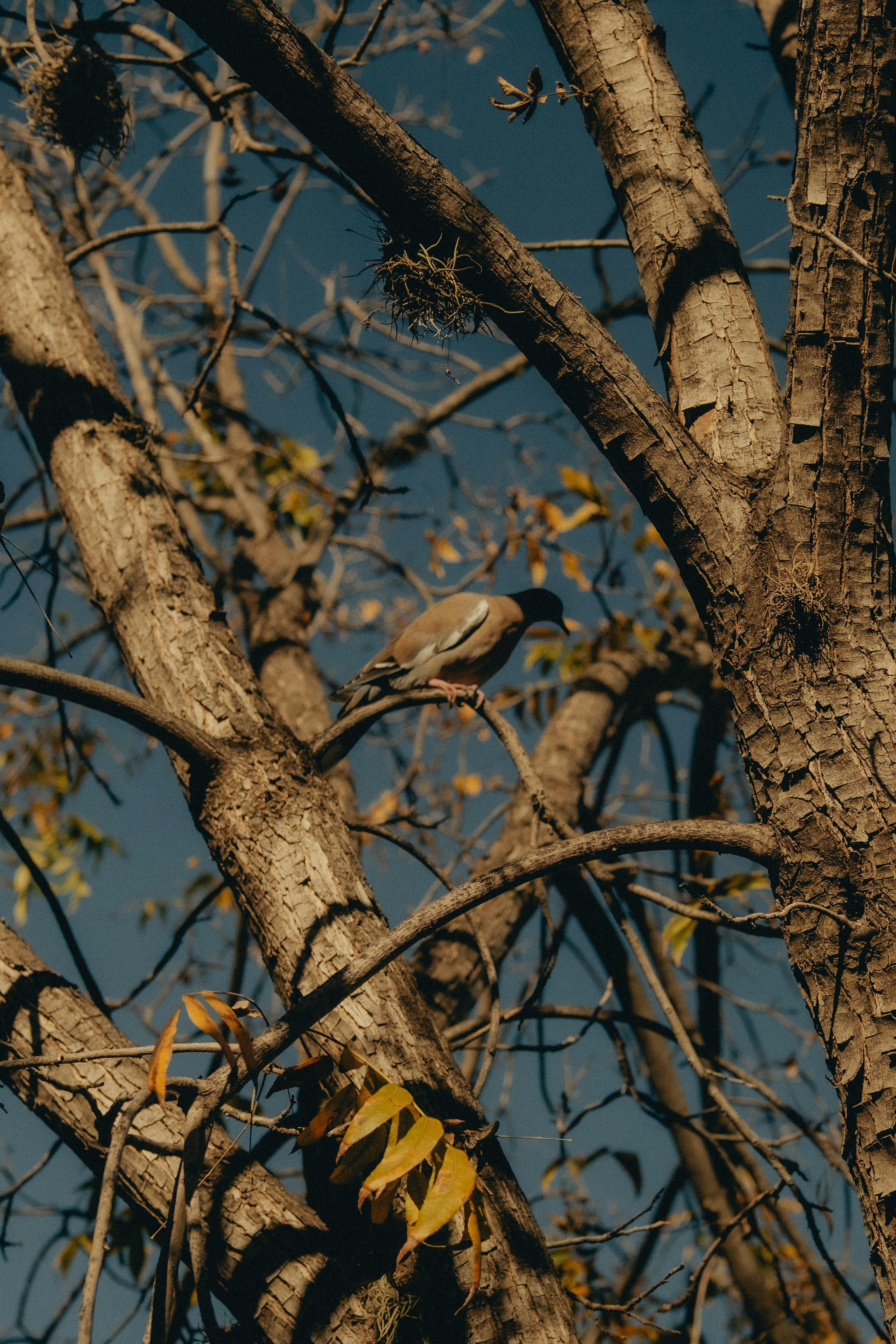 Photo by angelmalrey