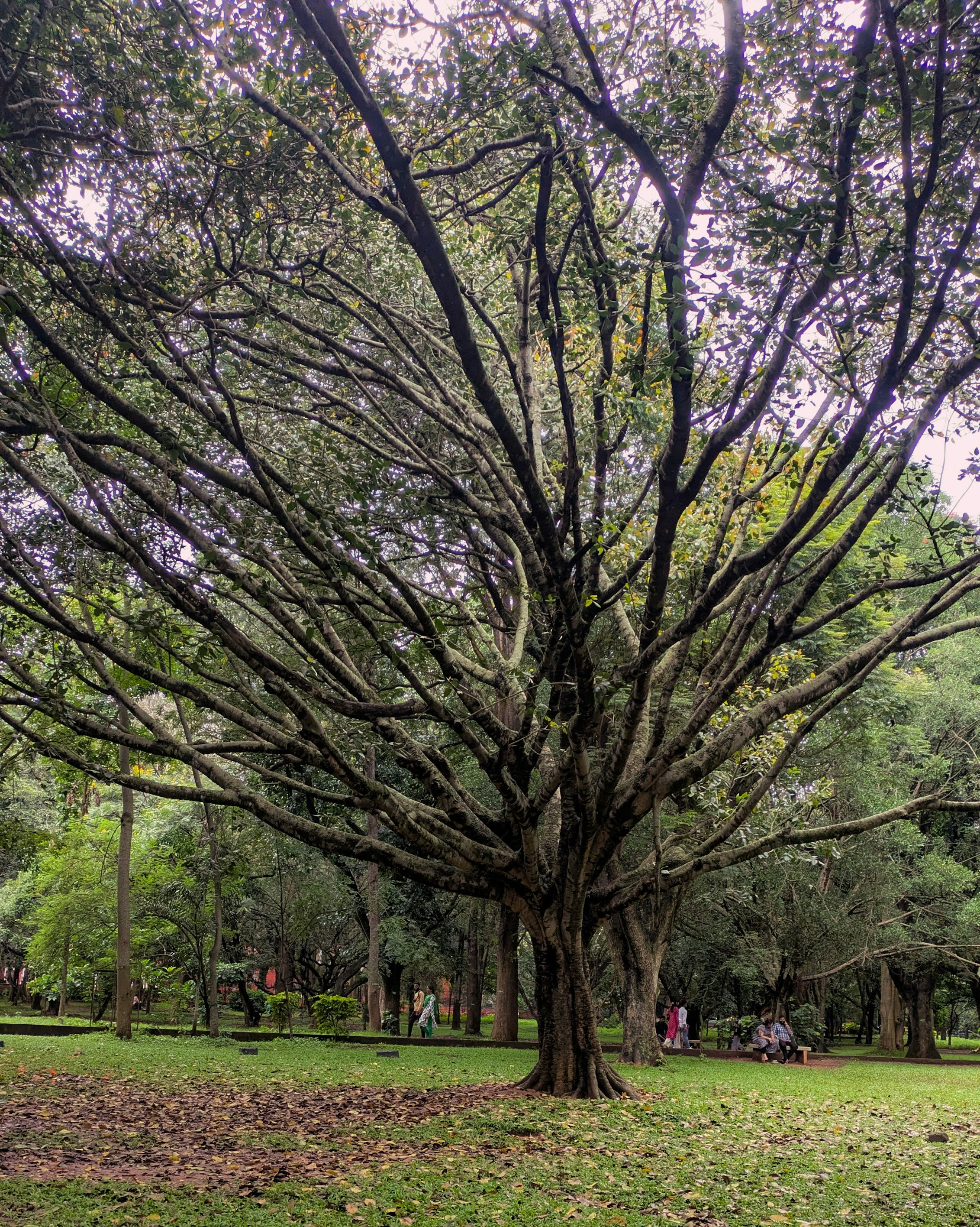 Photo by praneeth_ai