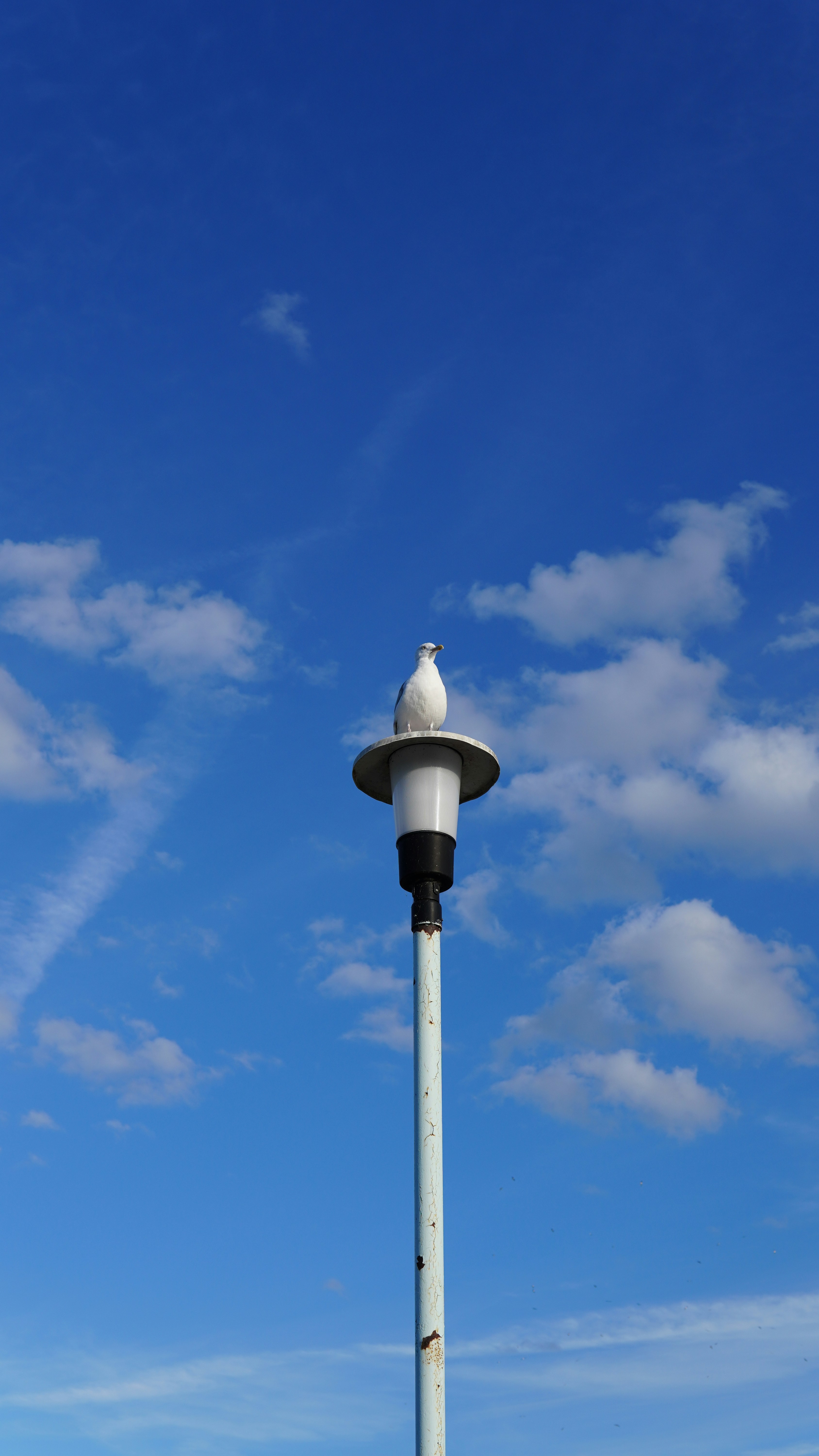 Photo by shariqbakshi