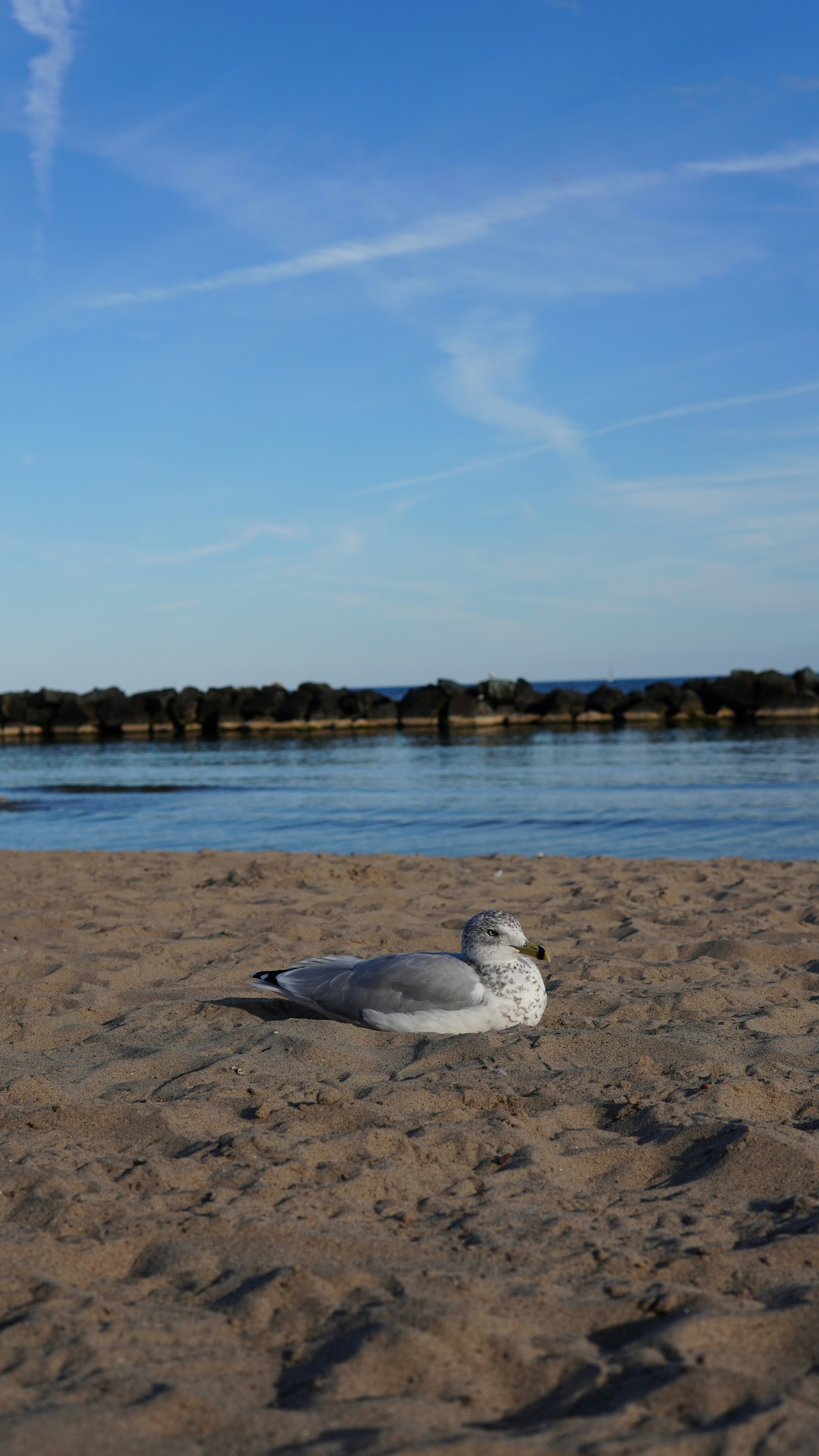 Photo by shariqbakshi