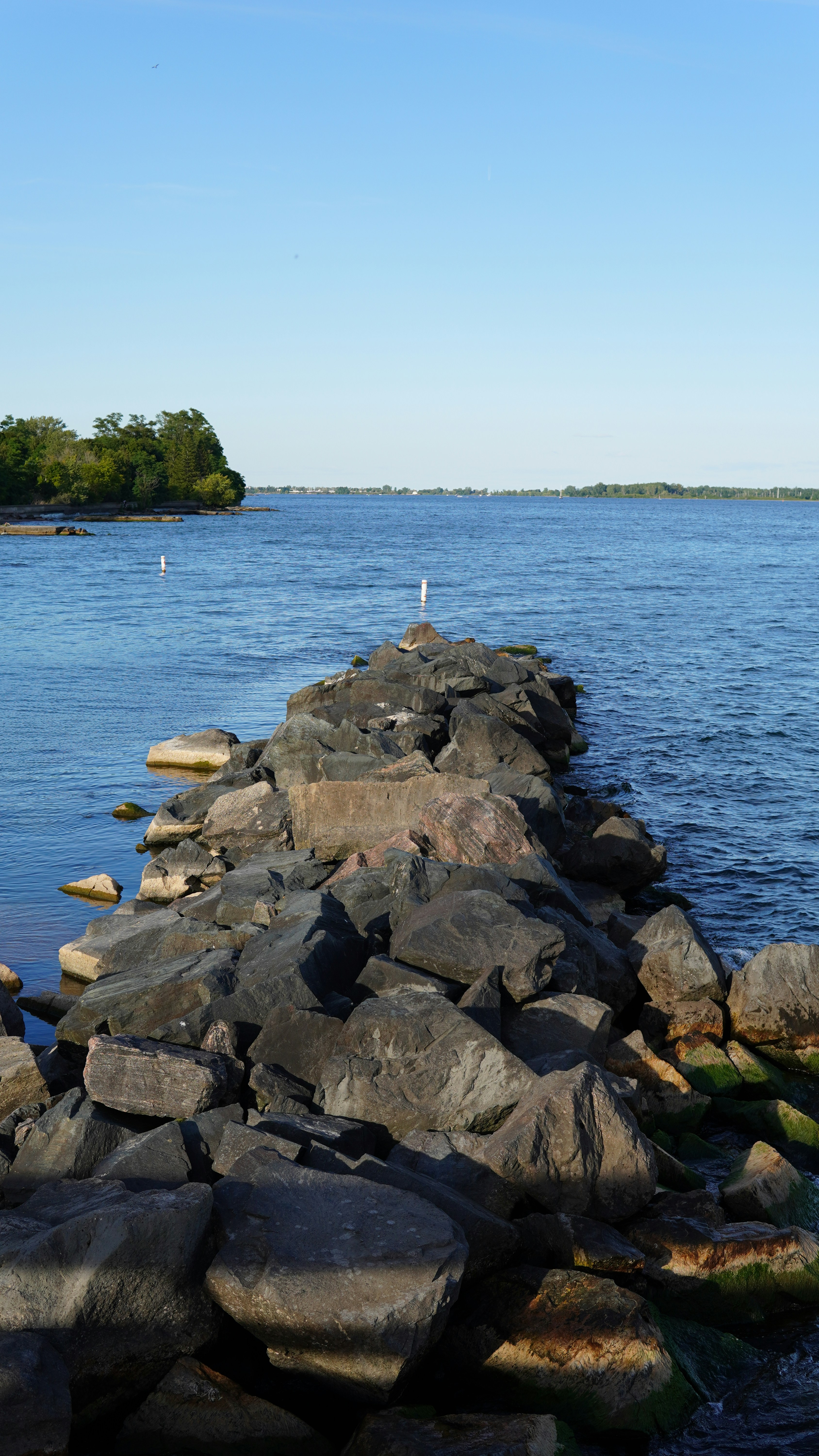 Photo by shariqbakshi