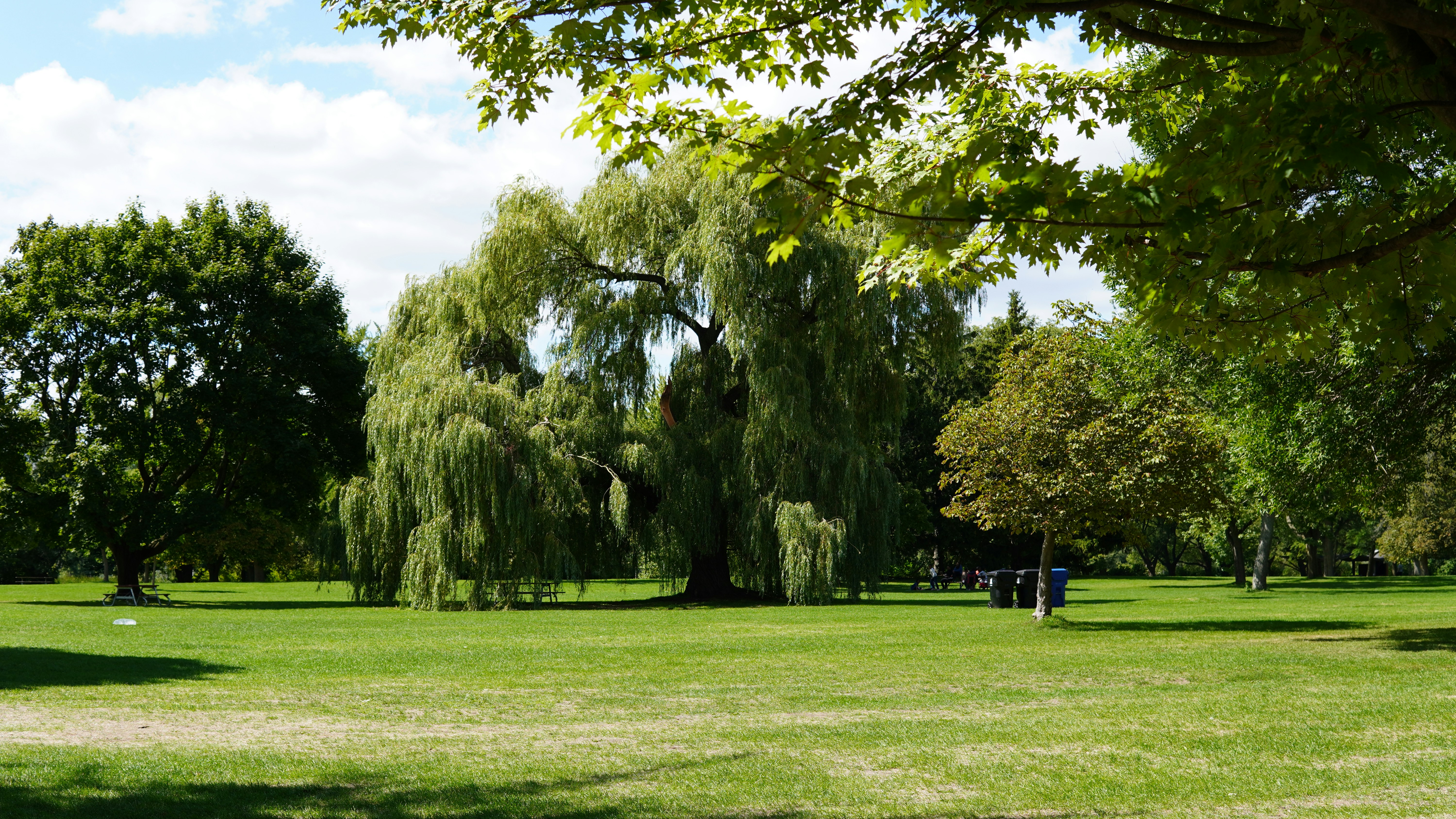 Photo by shariqbakshi