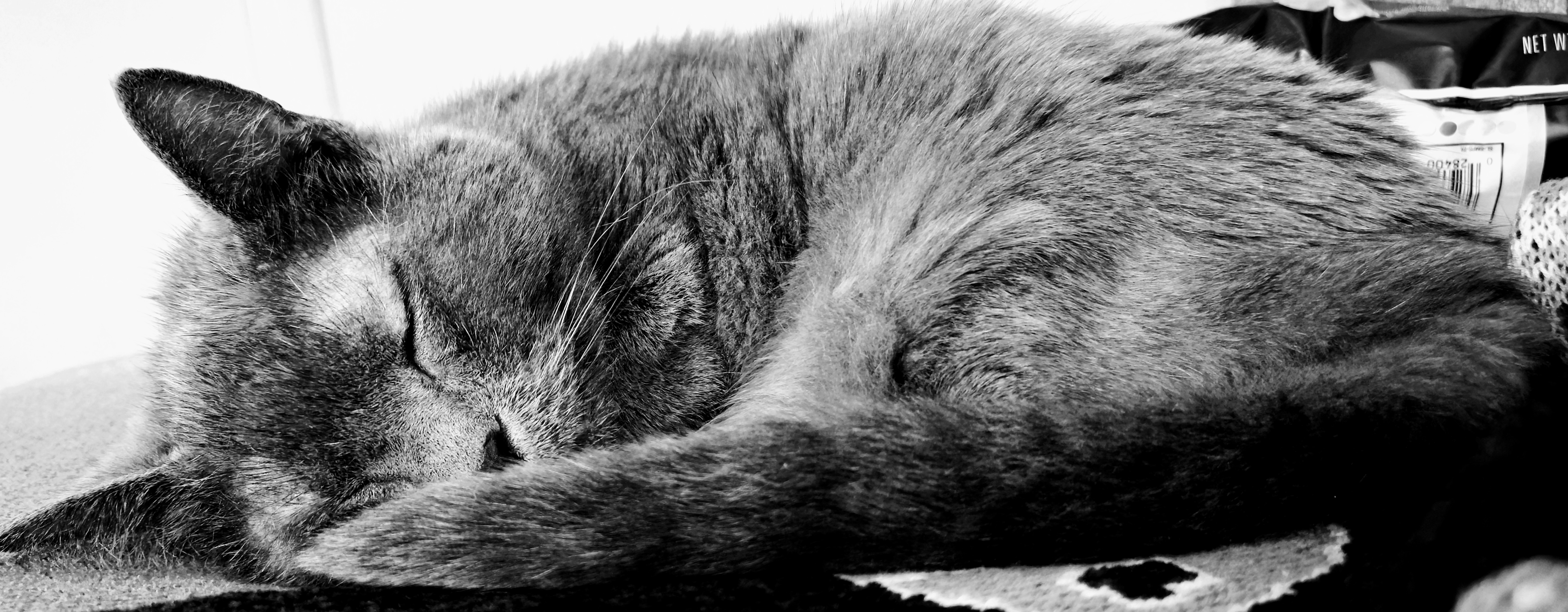 Photo by mattarnster