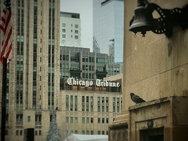 The Chicago Tribune sign on Tribune Tower with a pigeon perched on a ledge