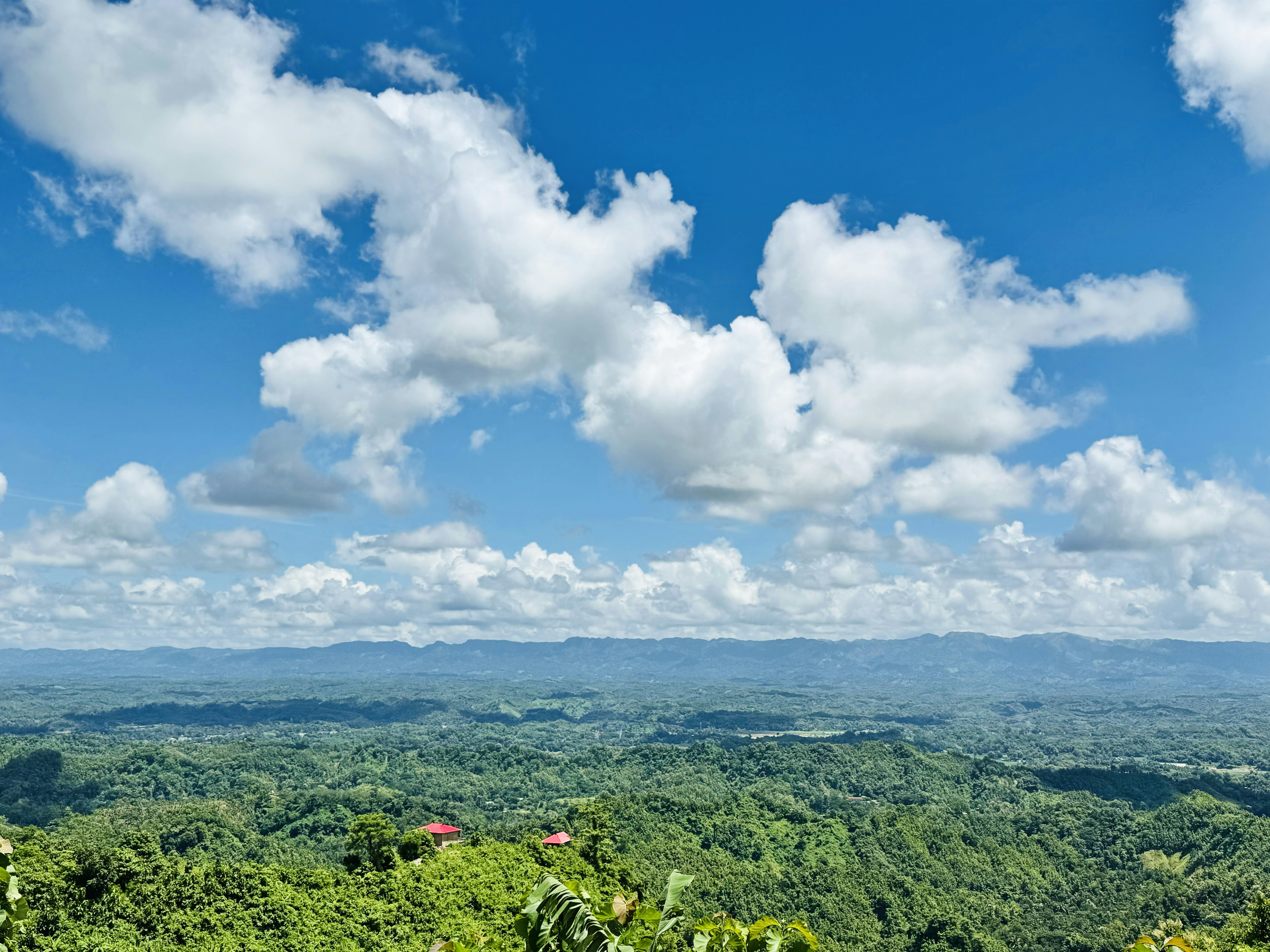 Photo by expressivecapture