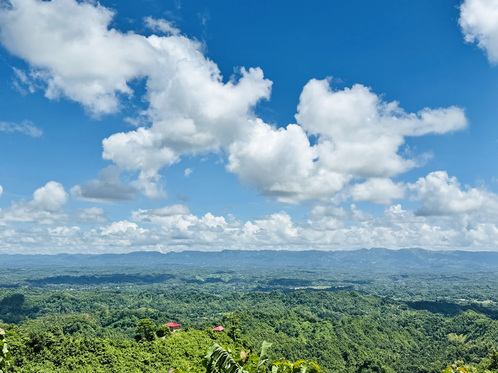 Paisaje representativo de La Chorrera