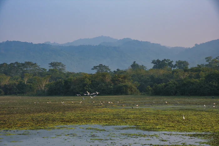 Top Tourist Places