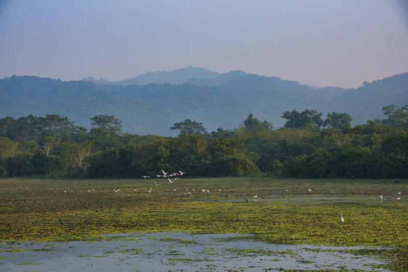 Top Tourist Places in Kaziranga: What's Actually Worth Your Time