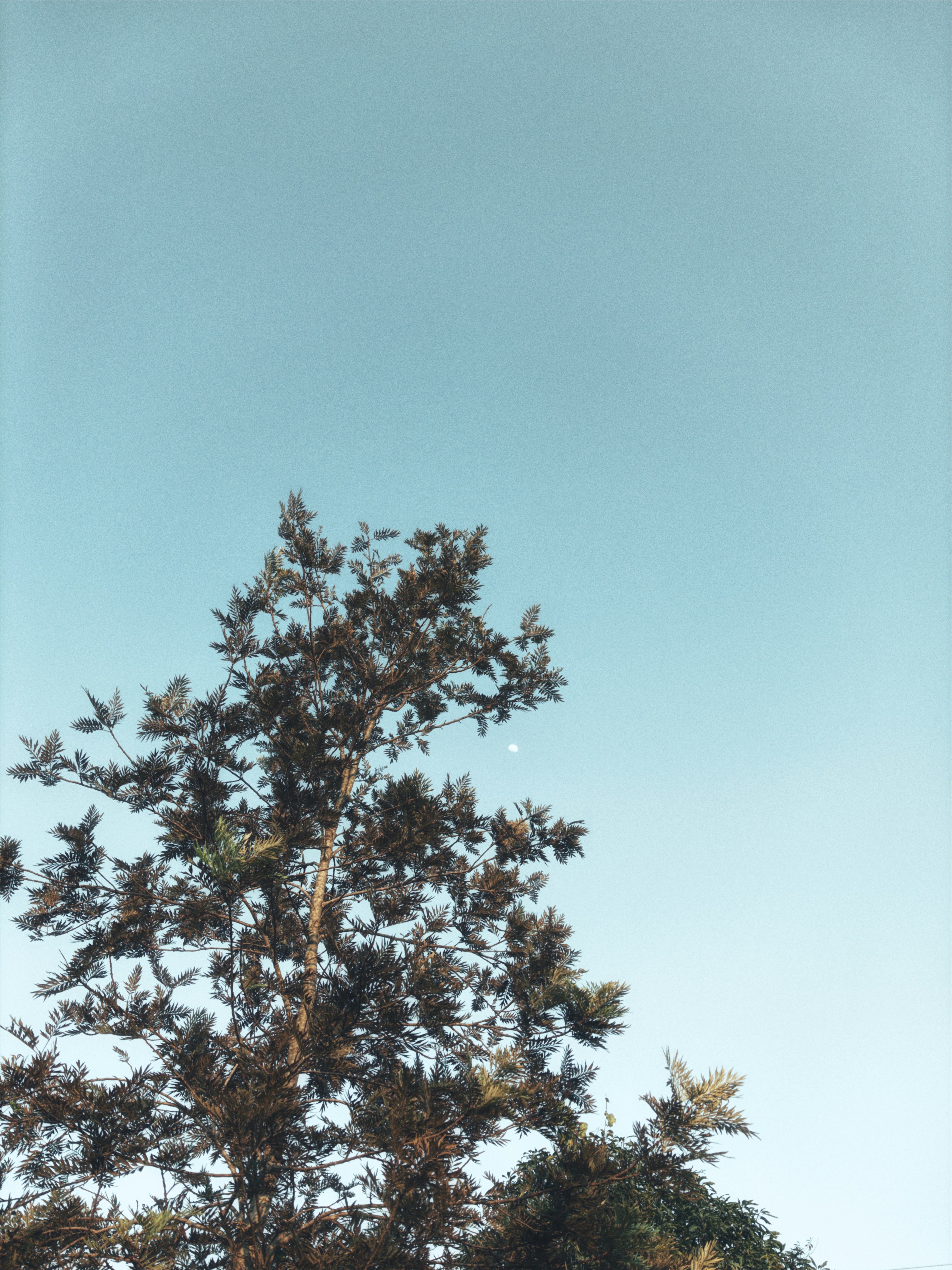 calm blue sky, ilustrasi artikel Wedding Week Warrior: Essential Self-Care for a Blissful Big Day 7