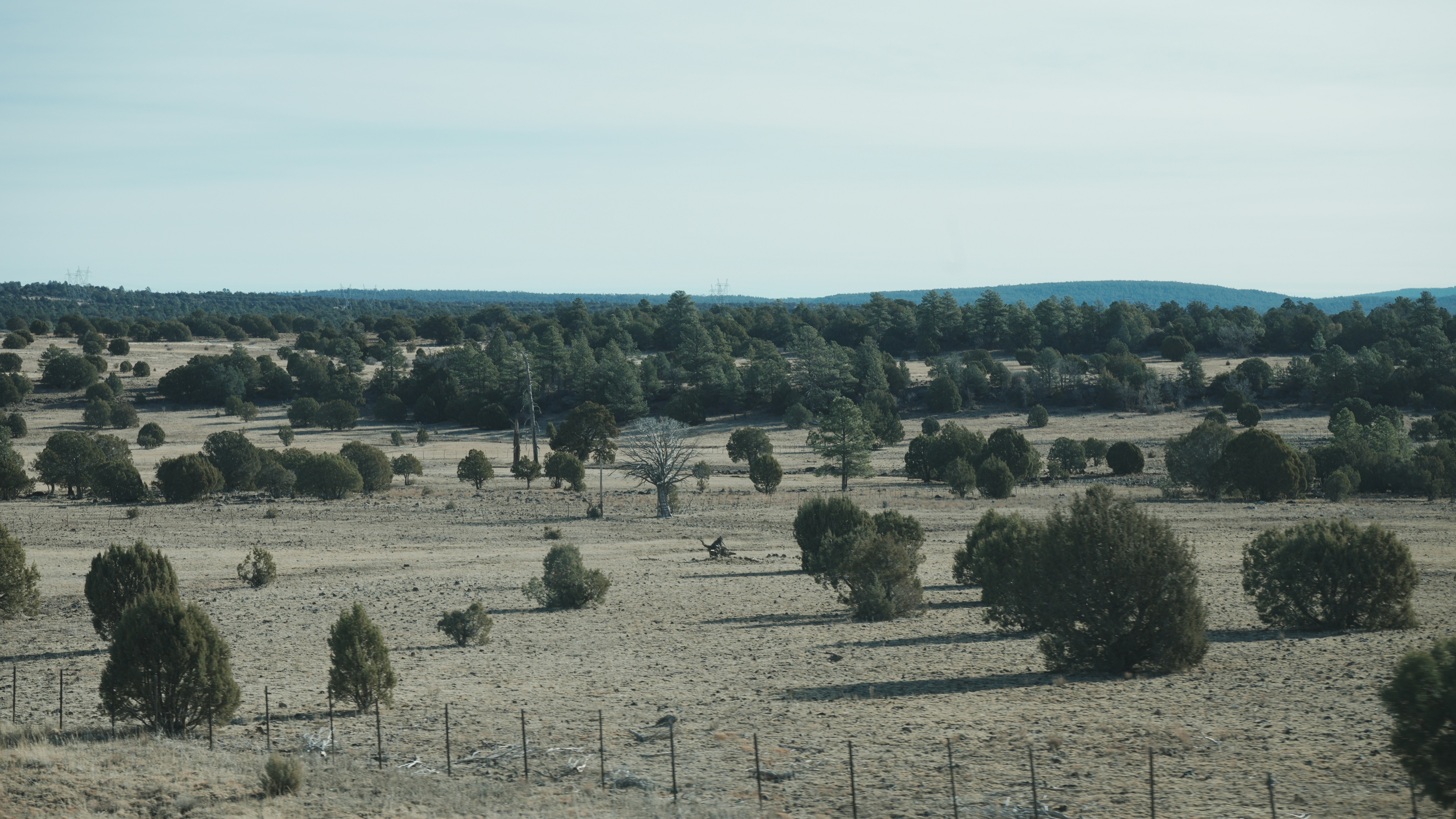 Photo by brandanwilson212