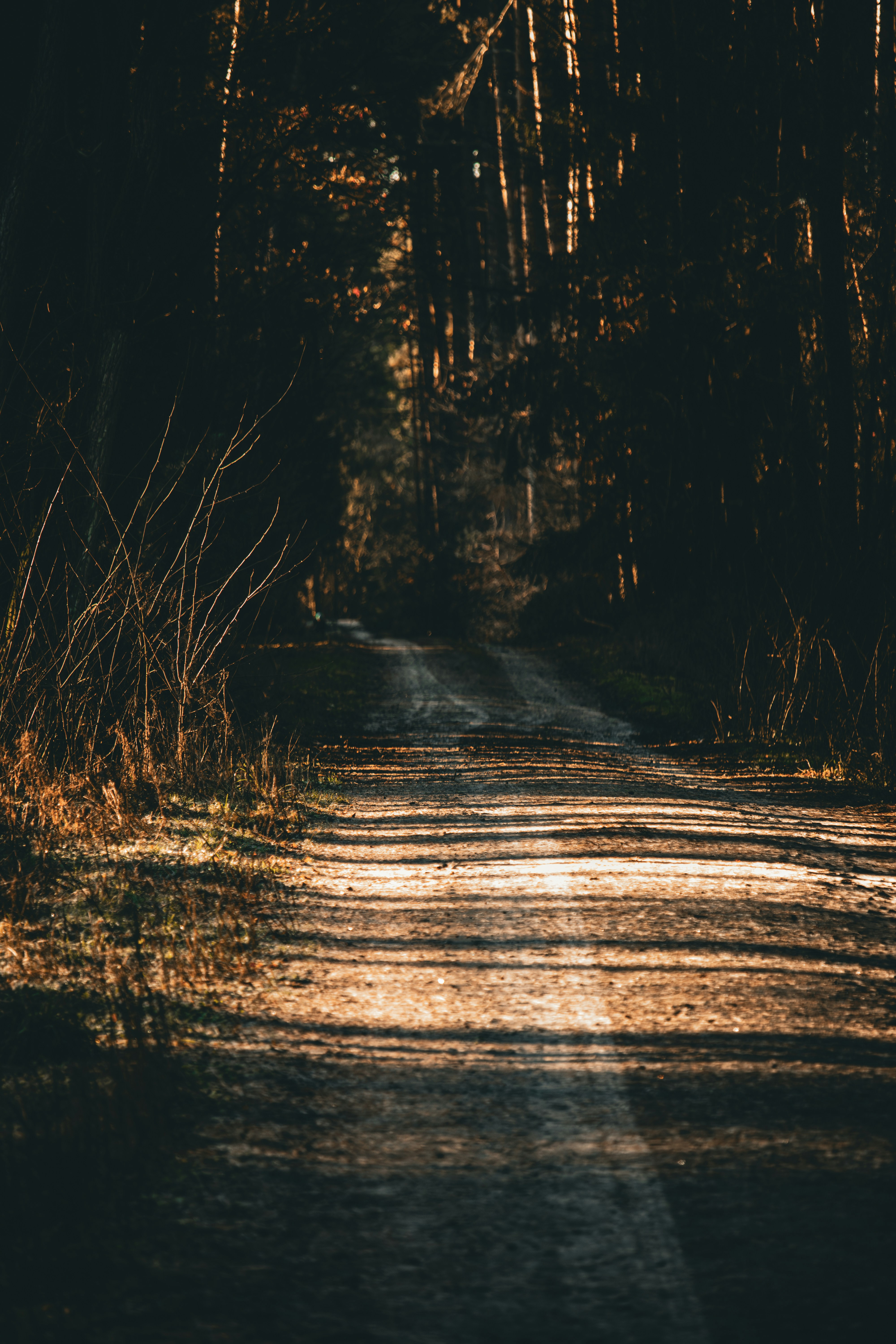 Photo by artur_luczka