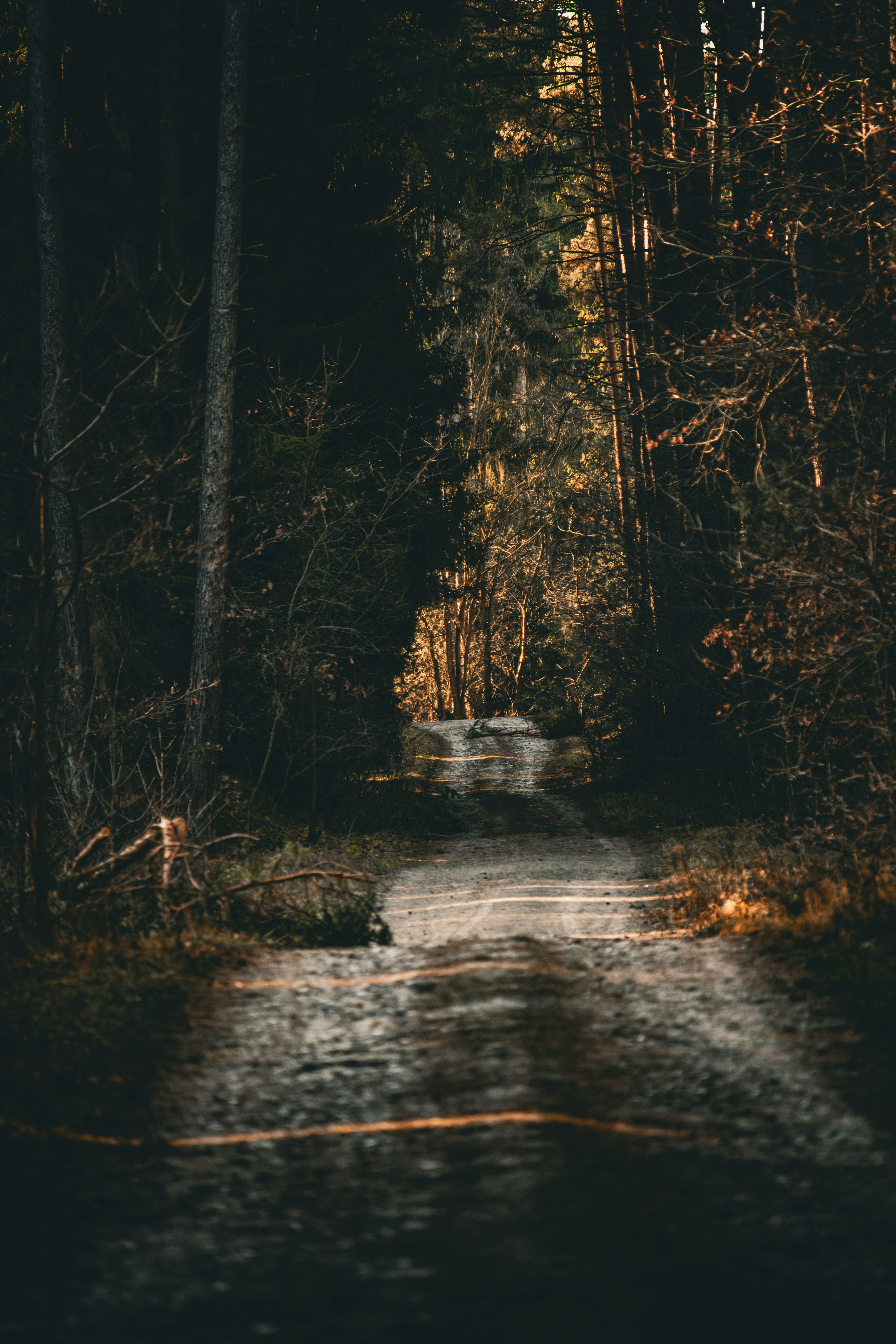 Photo by artur_luczka