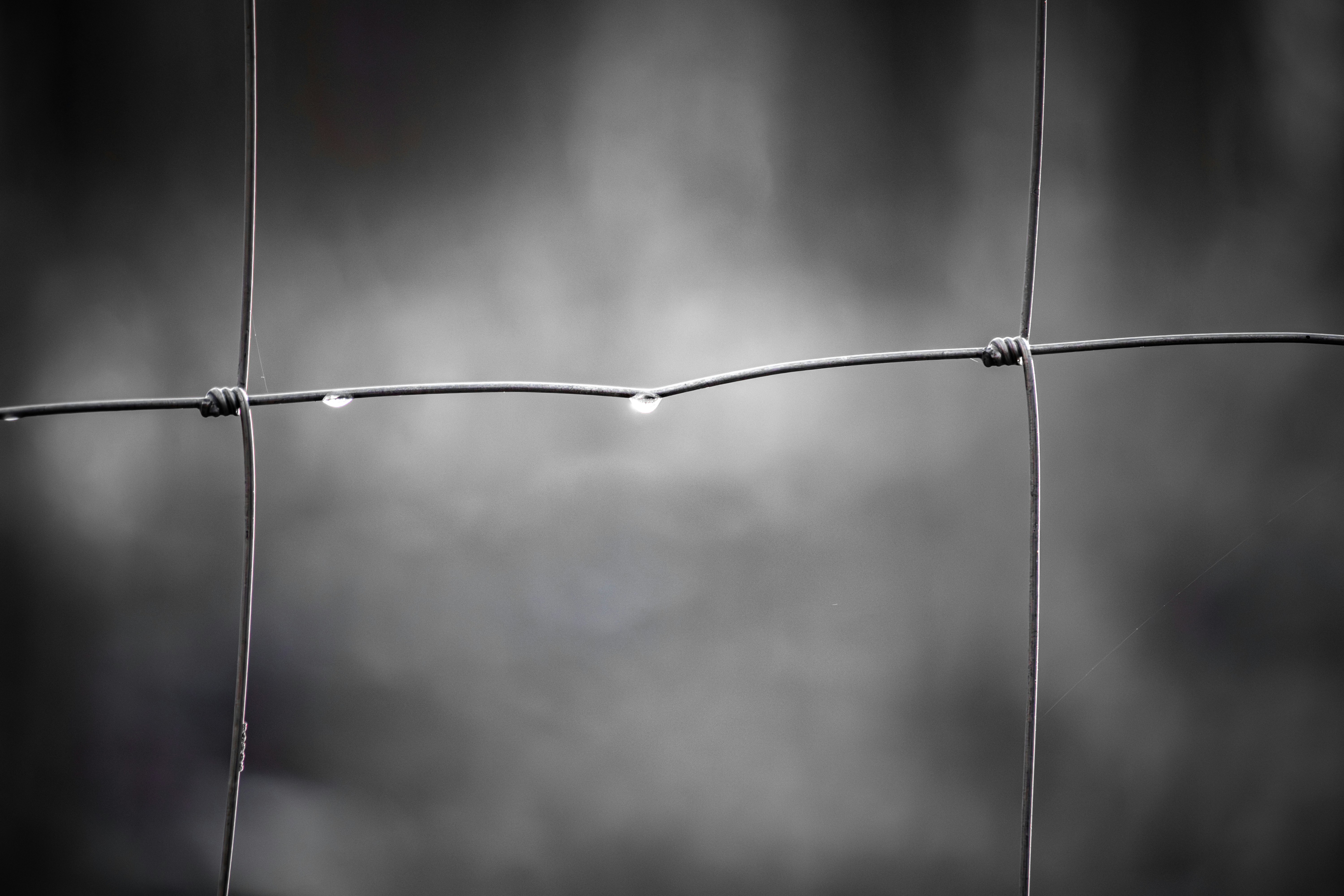 Photo by artur_luczka