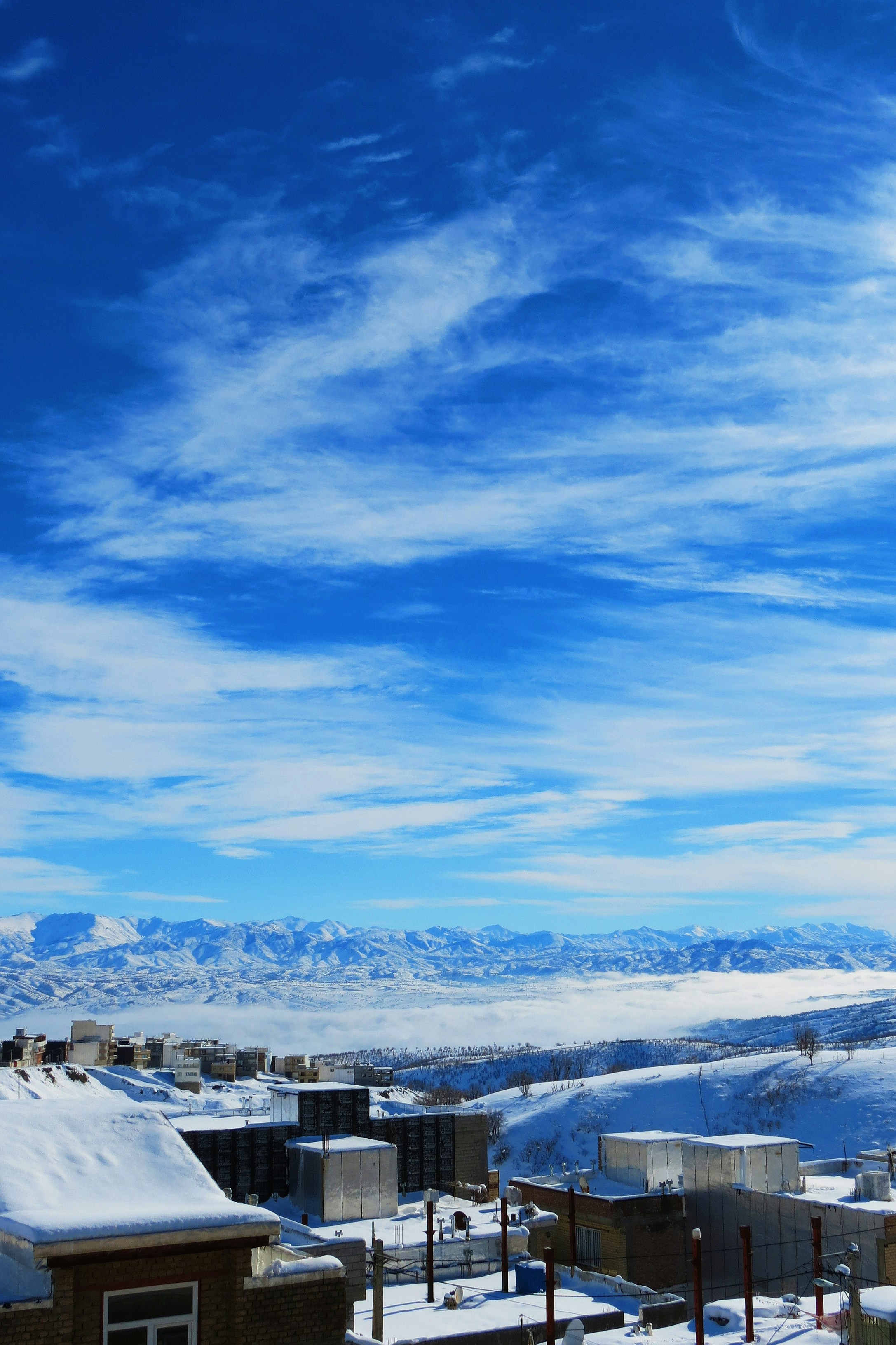 Photo by shvansheikha