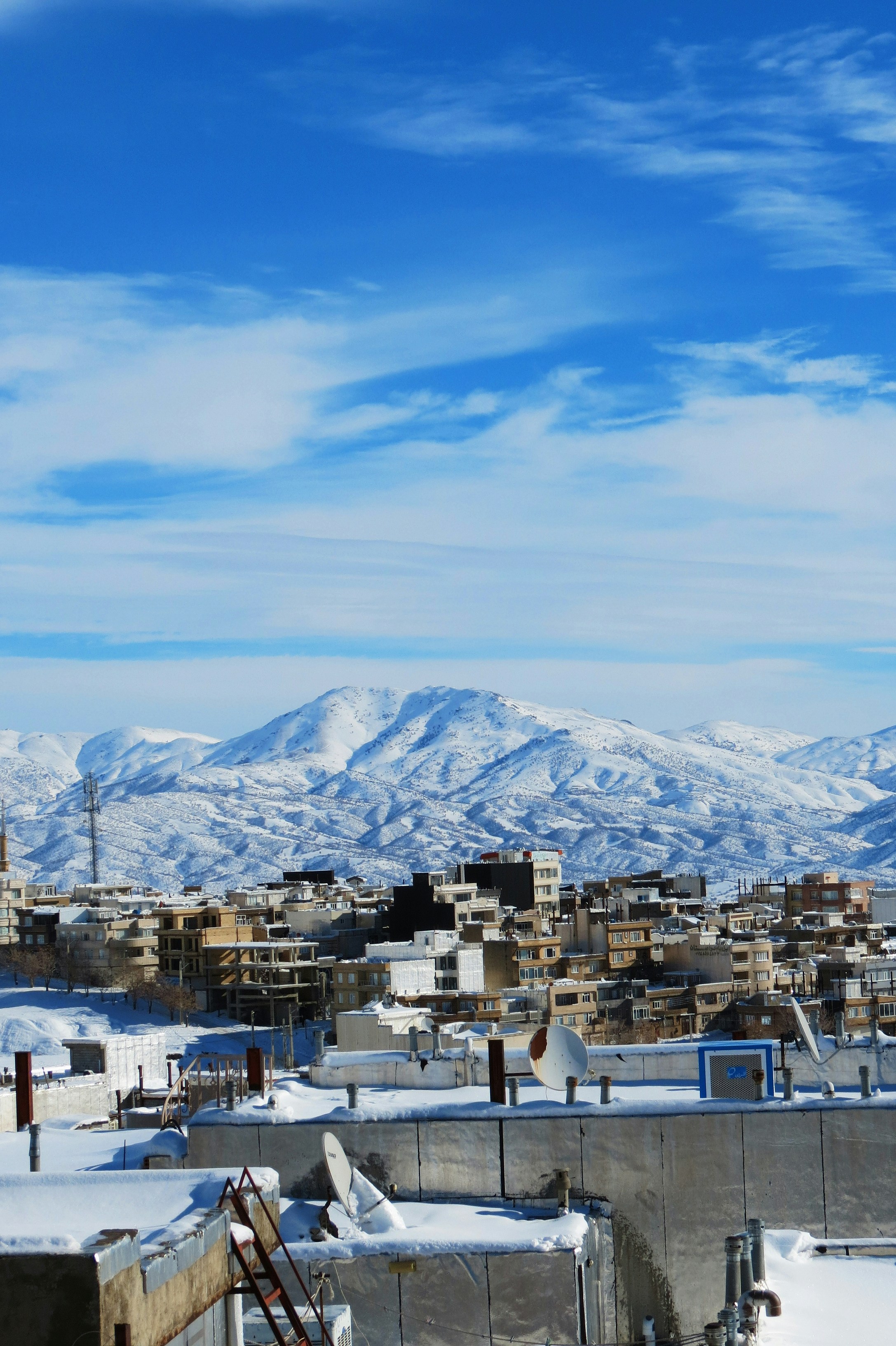 Photo by shvansheikha