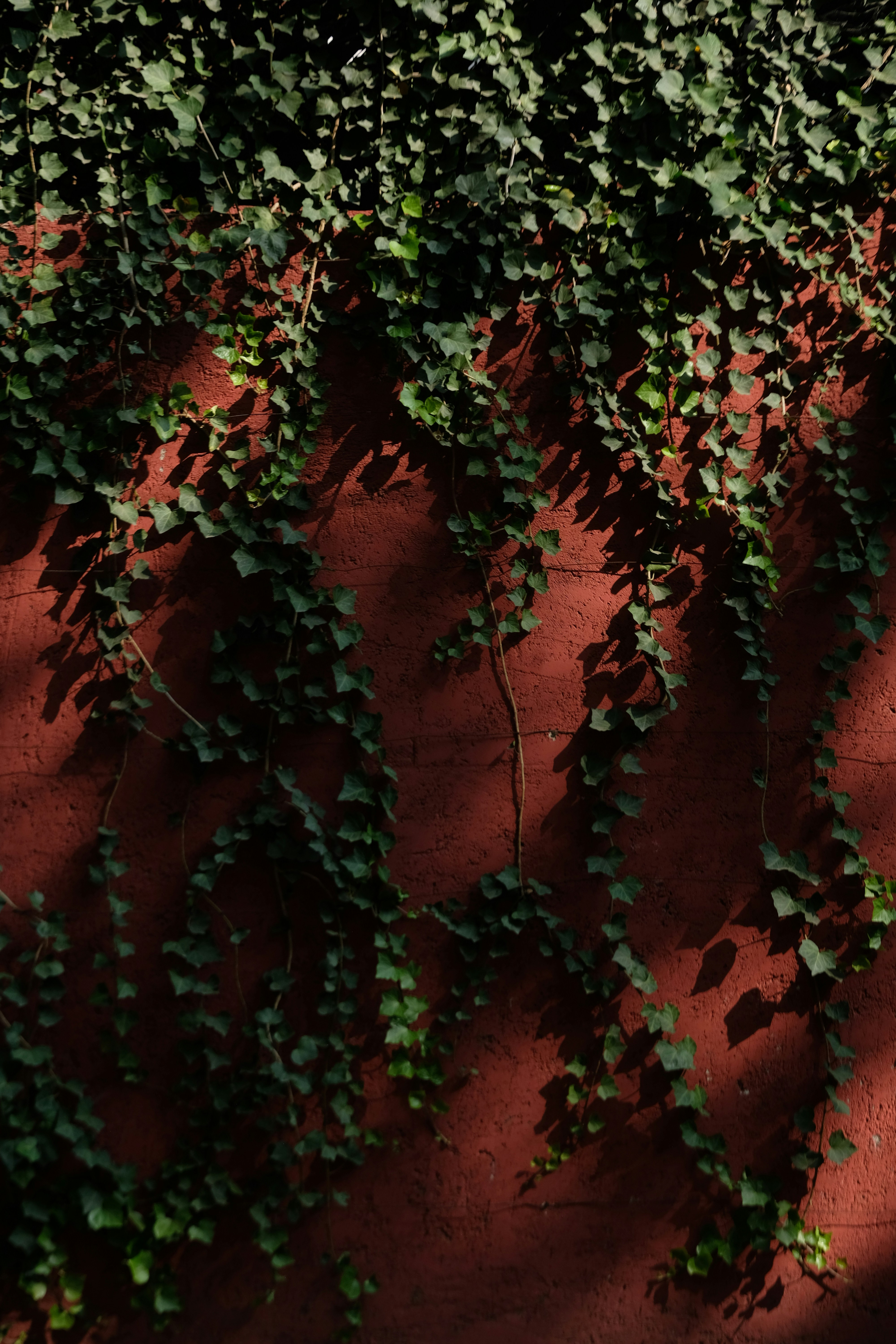 Photo by eedgarivann