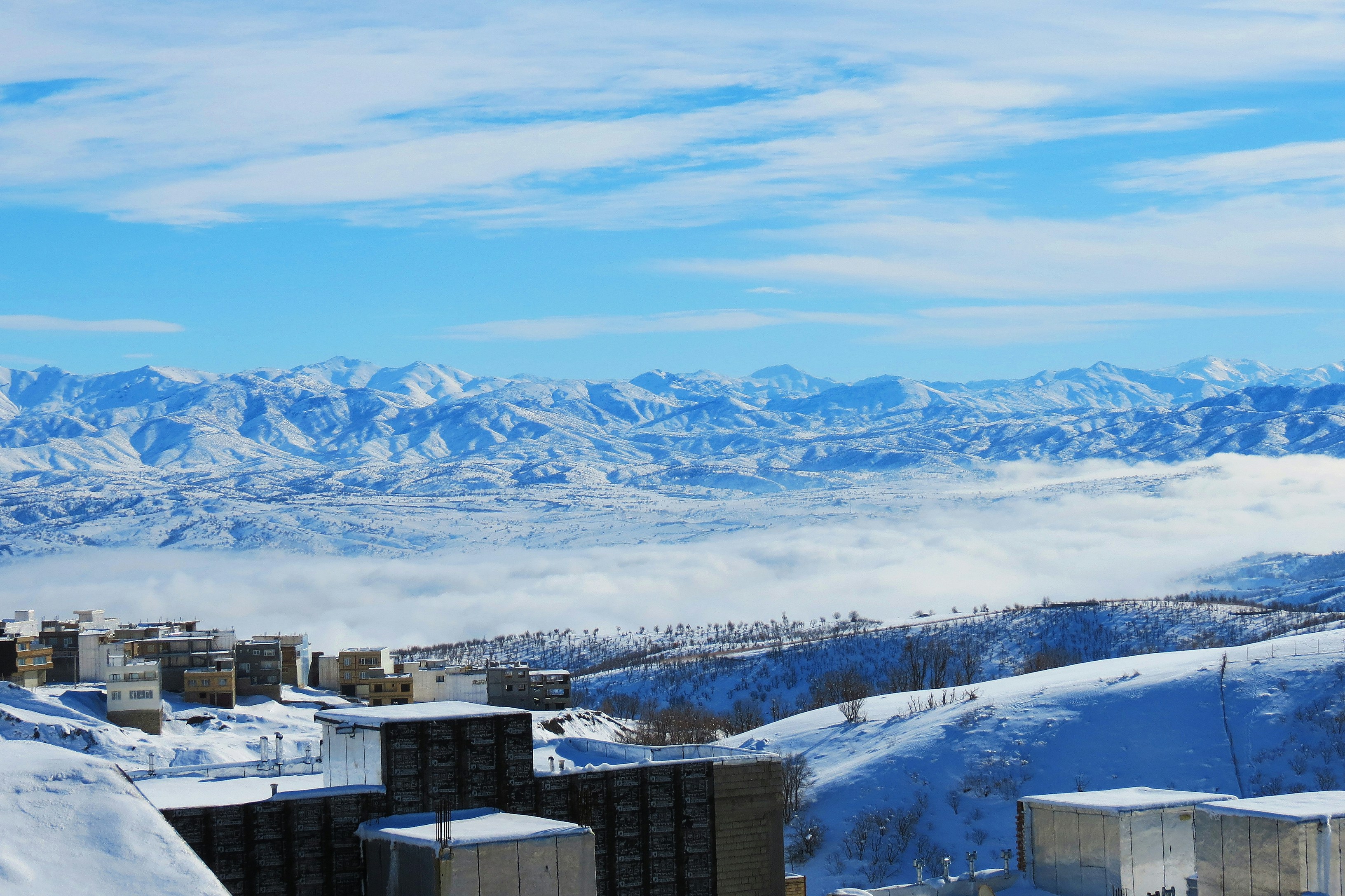 Photo by shvansheikha