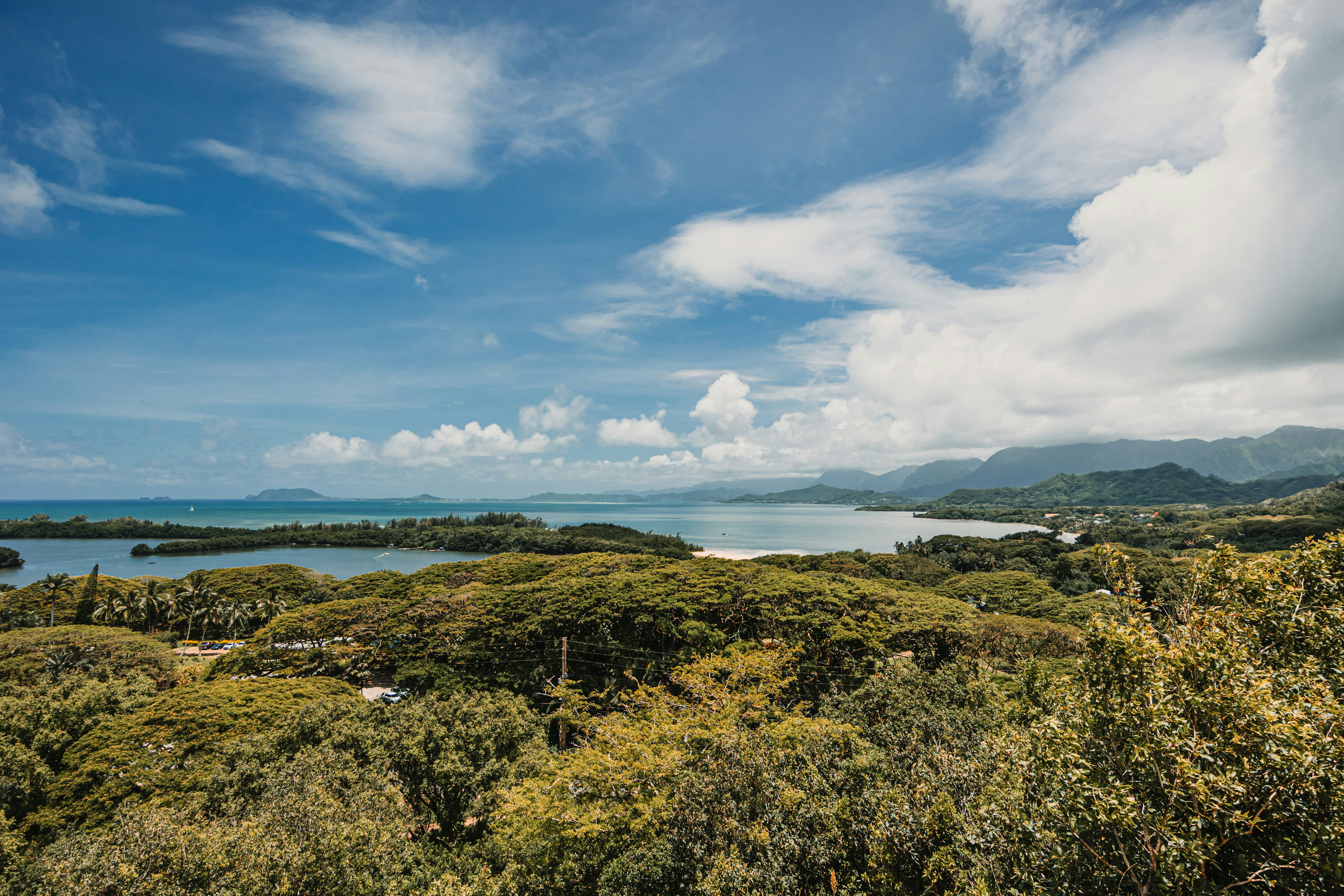 Photo by dariendesigns