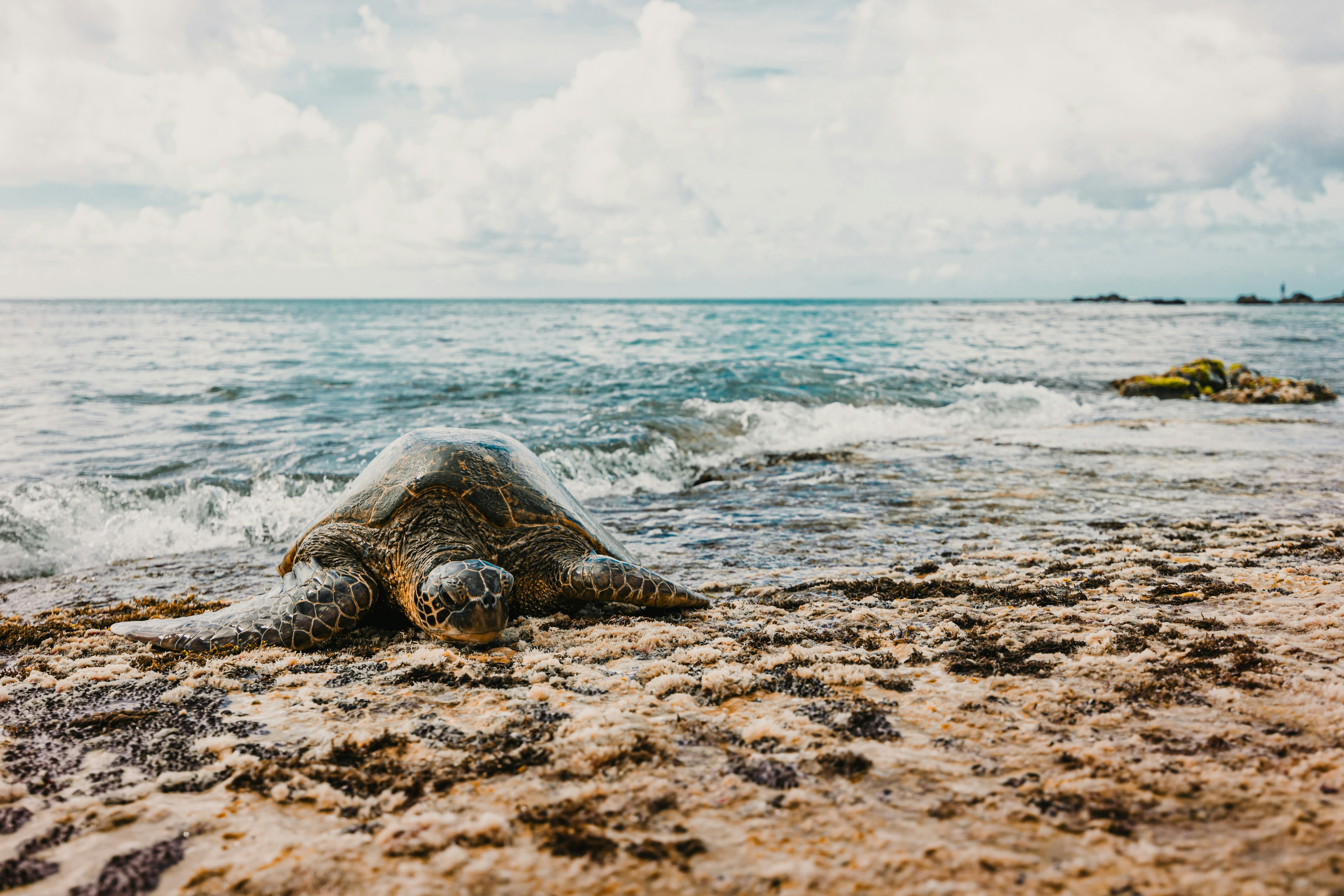 Photo by dariendesigns