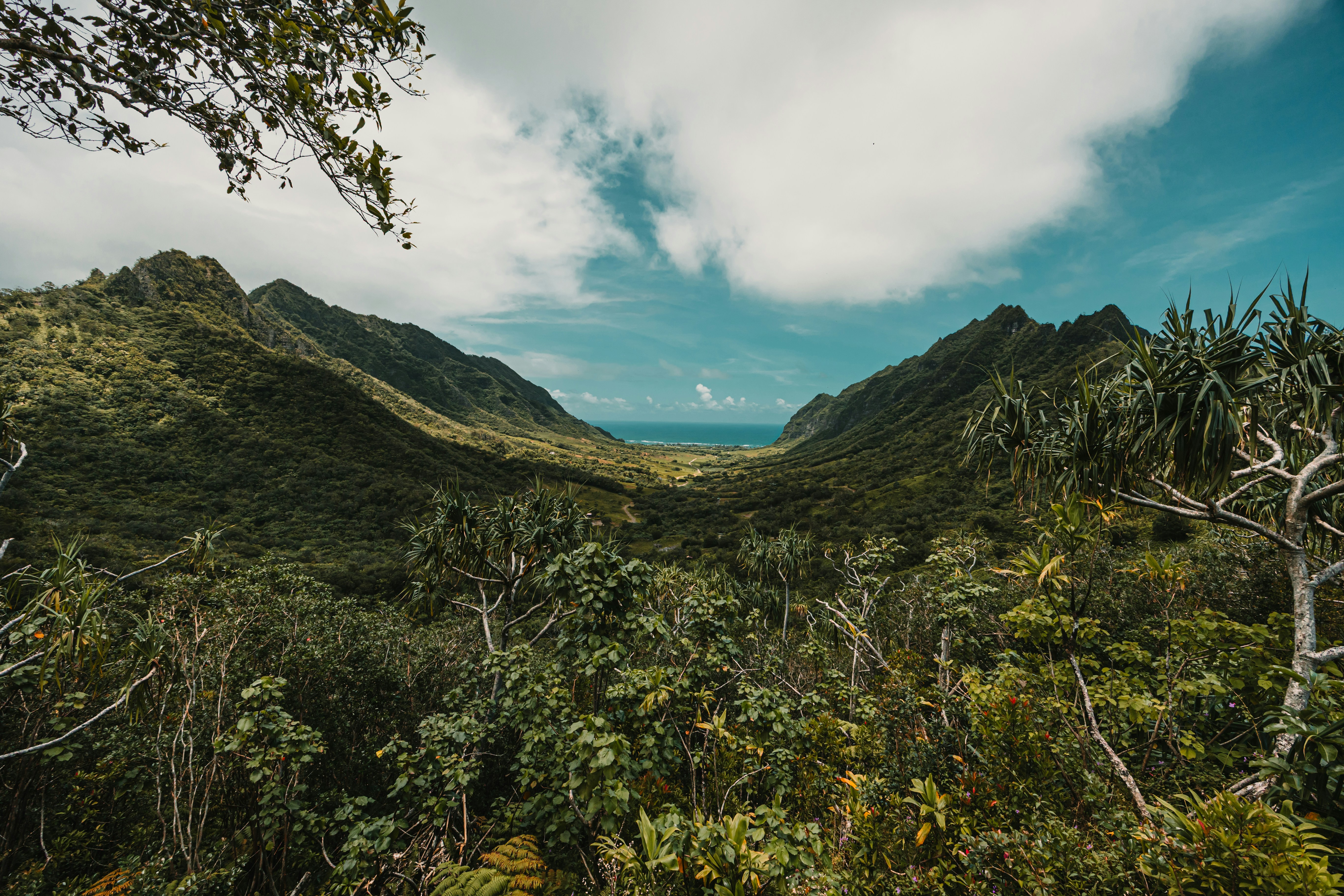 Photo by dariendesigns