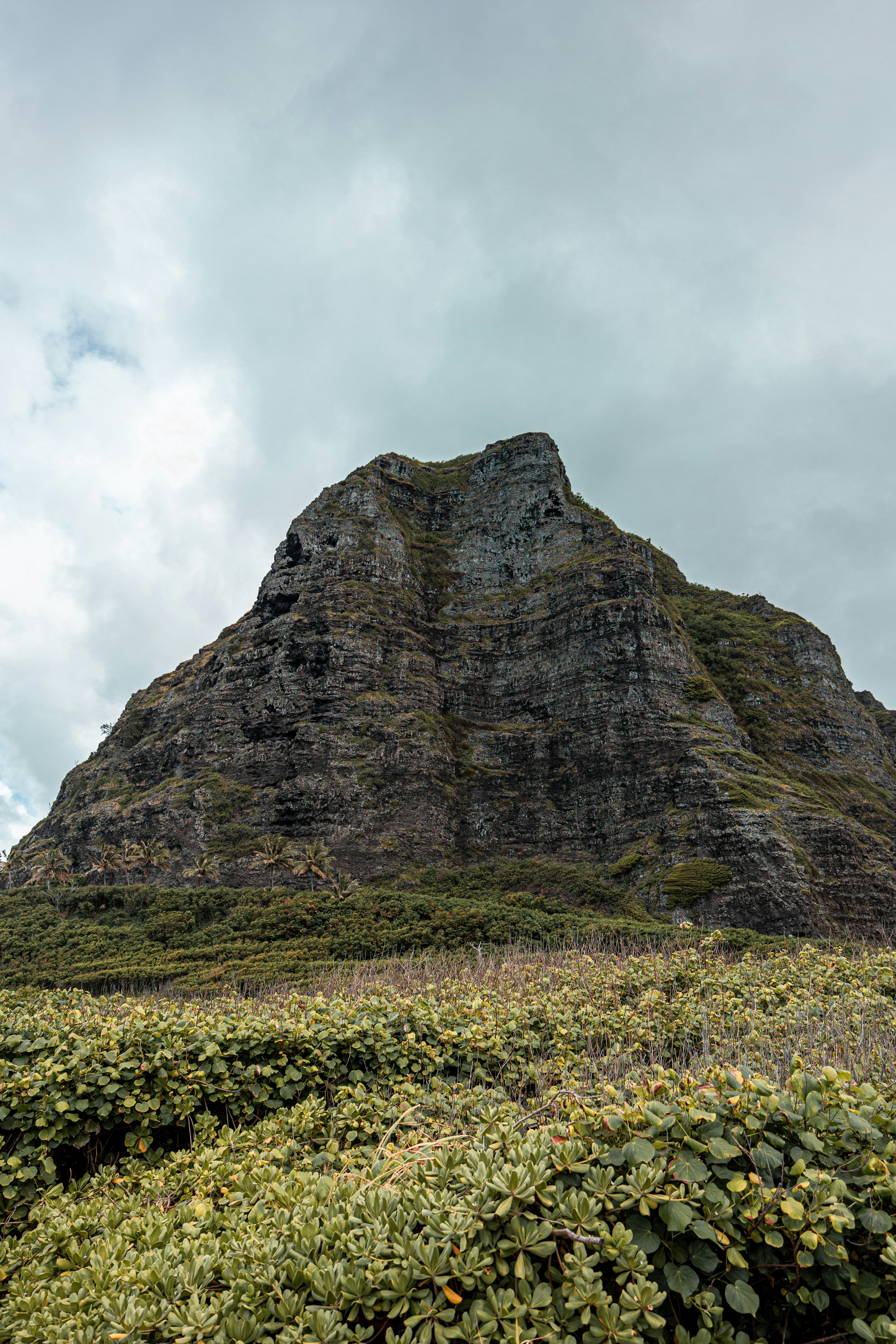 Photo by dariendesigns