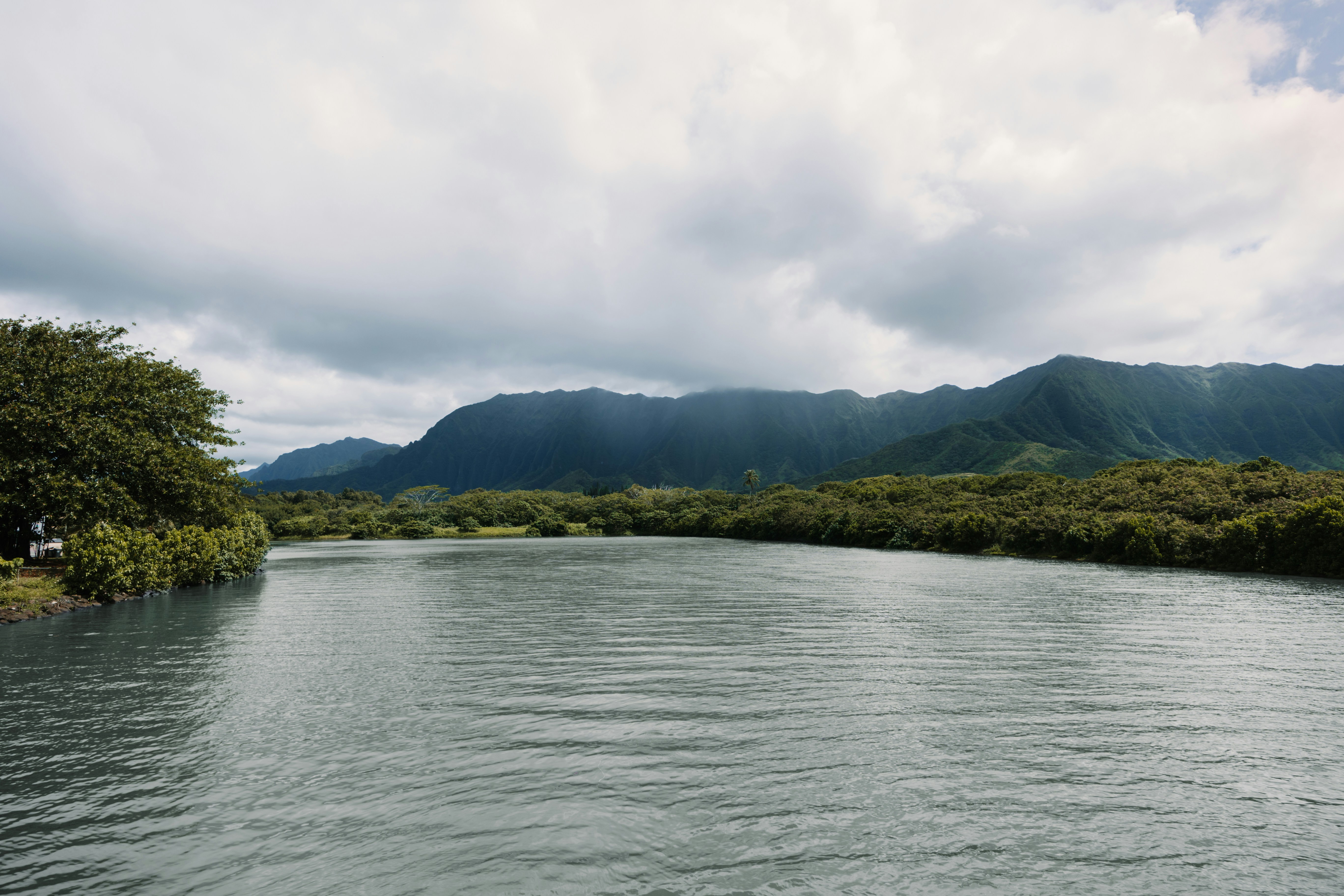 Photo by dariendesigns