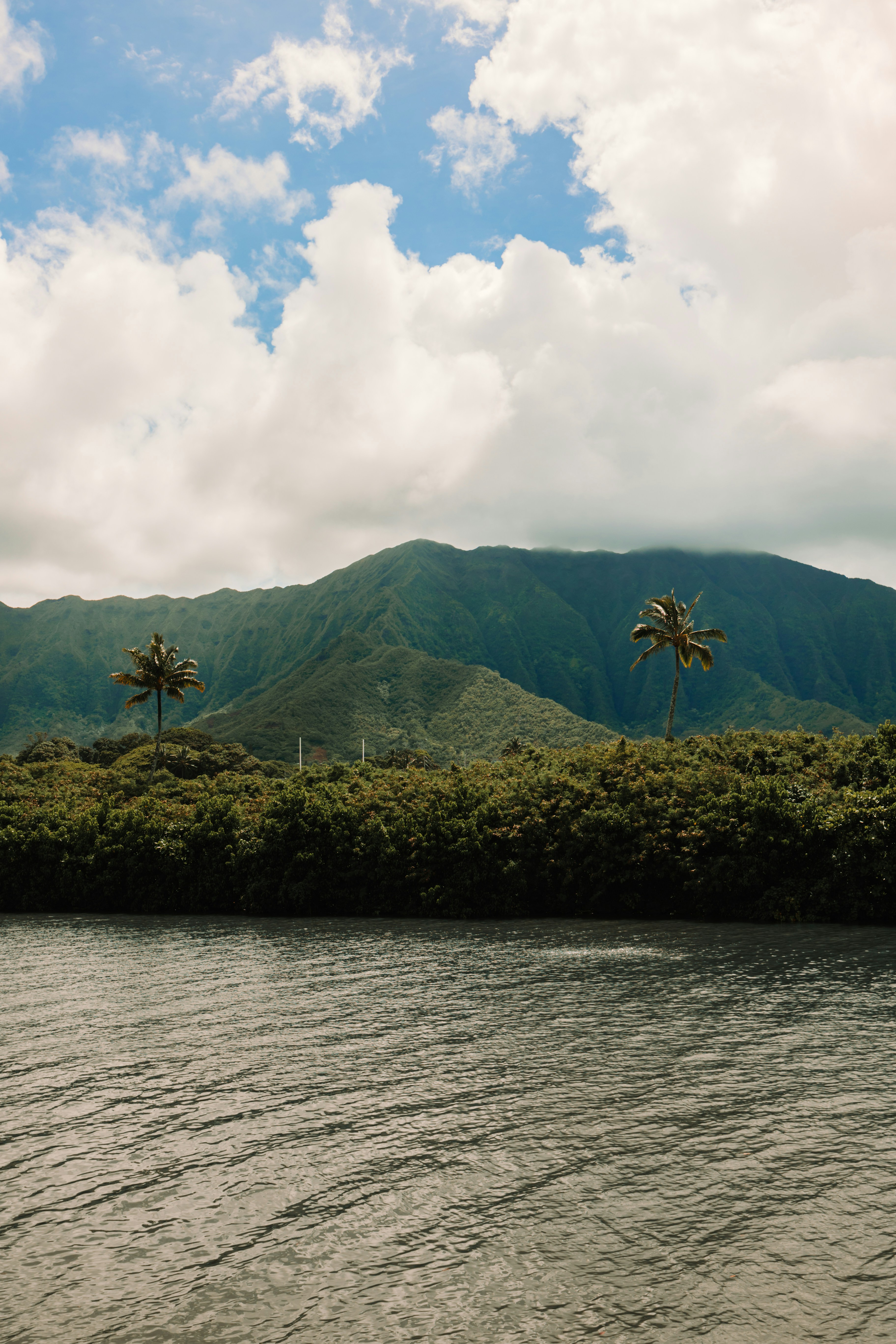 Photo by dariendesigns