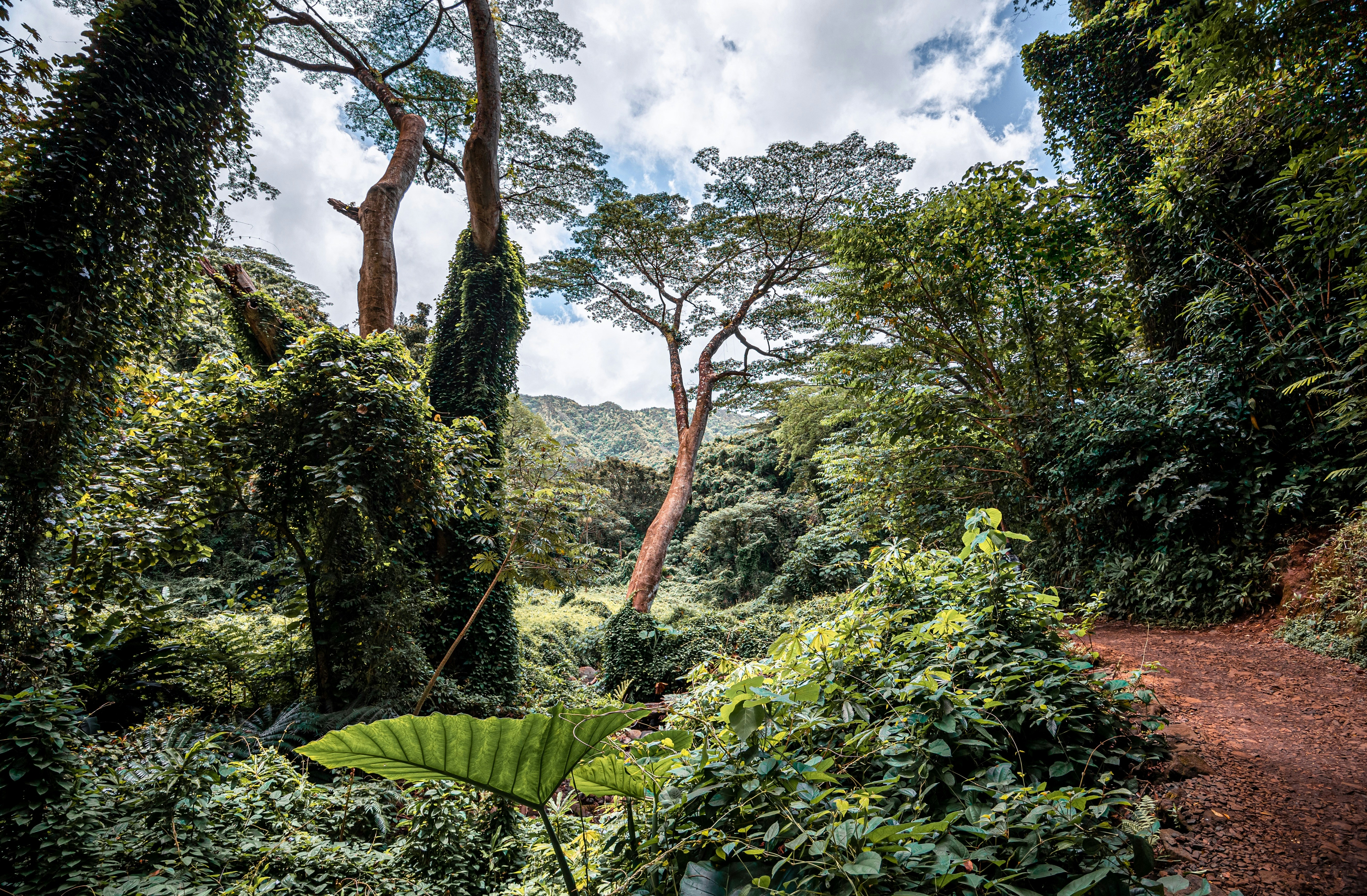 Photo by dariendesigns