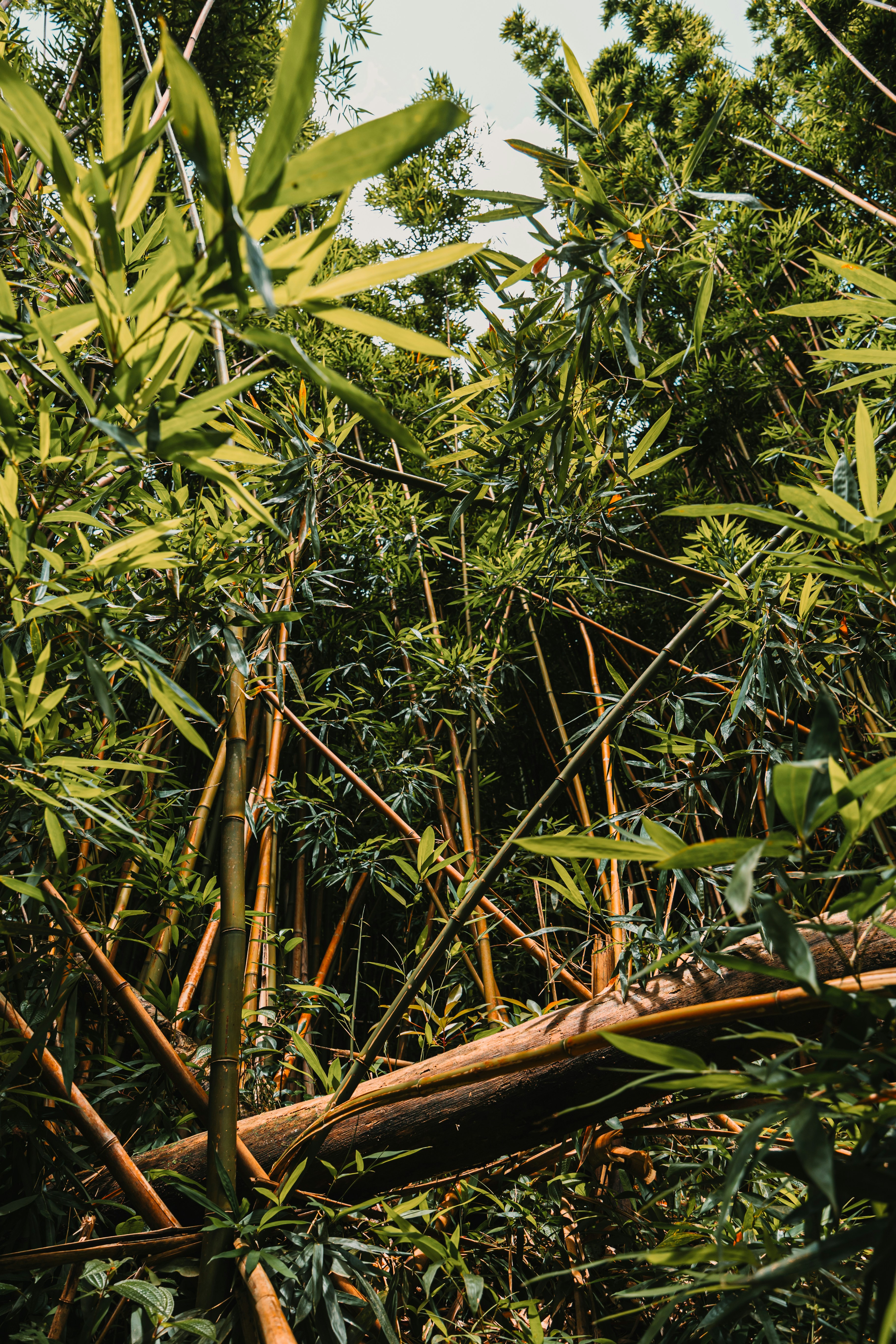 Photo by dariendesigns